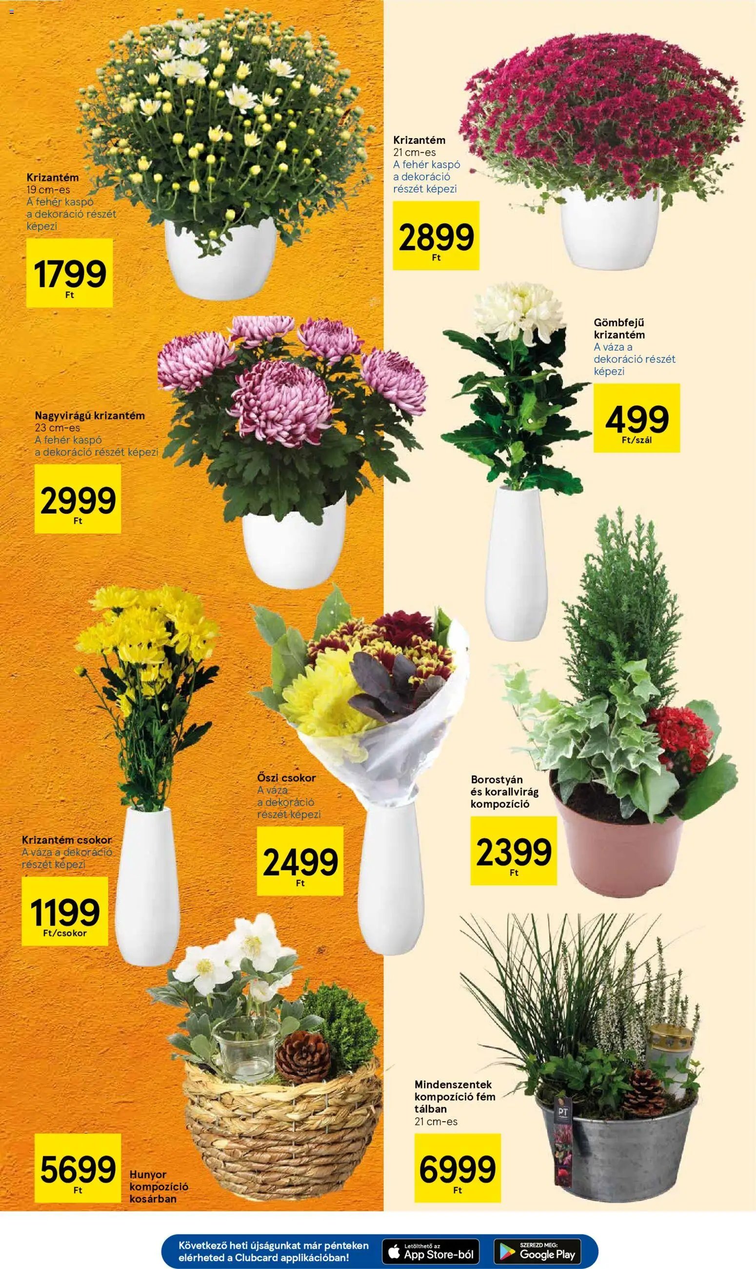 Tesco újság 2025.10.30. Akciós újság Tesco (2025-10-30 - 2025-11-05)