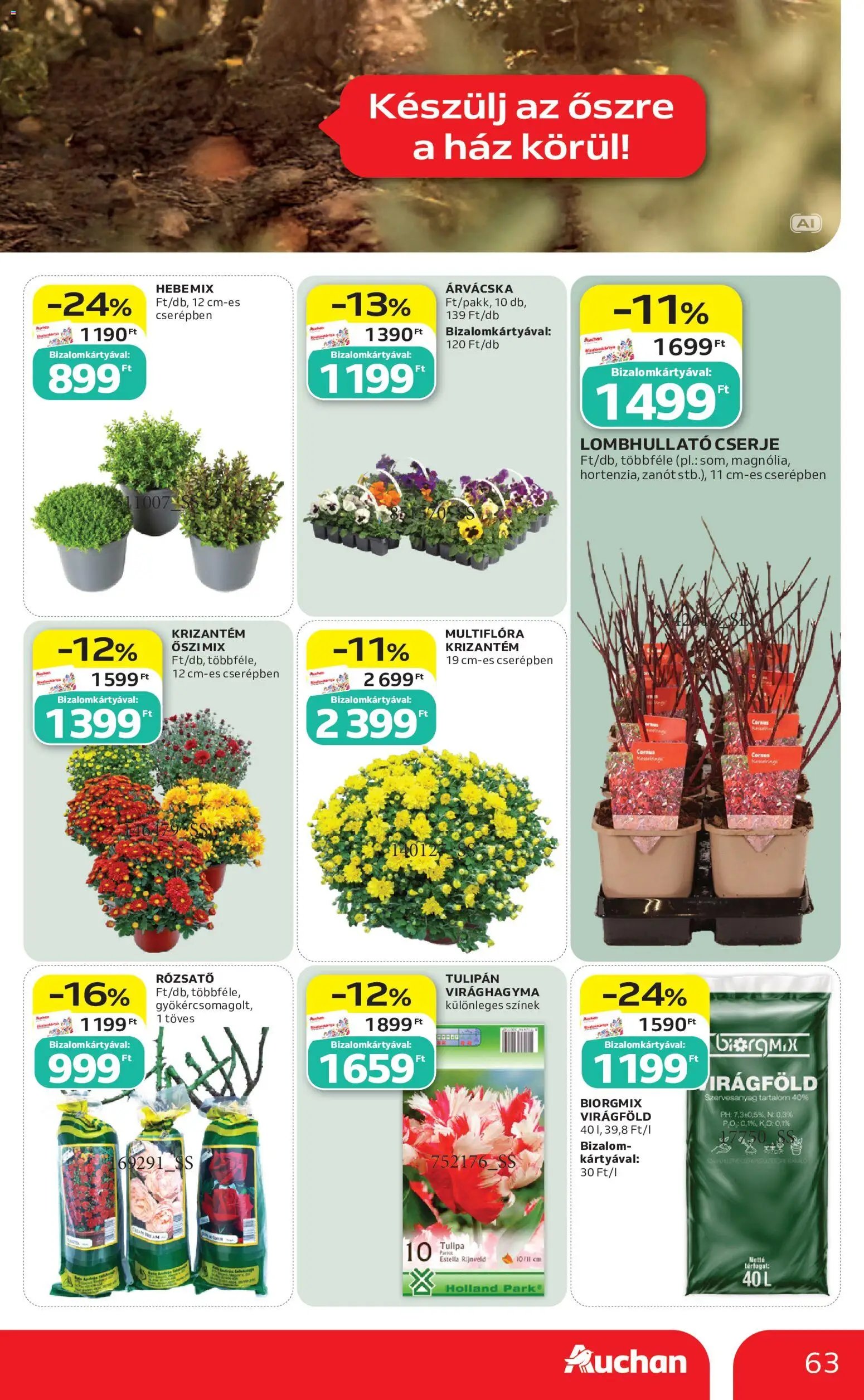 Auchan újság 2026.09.03. Auchan akciós újság