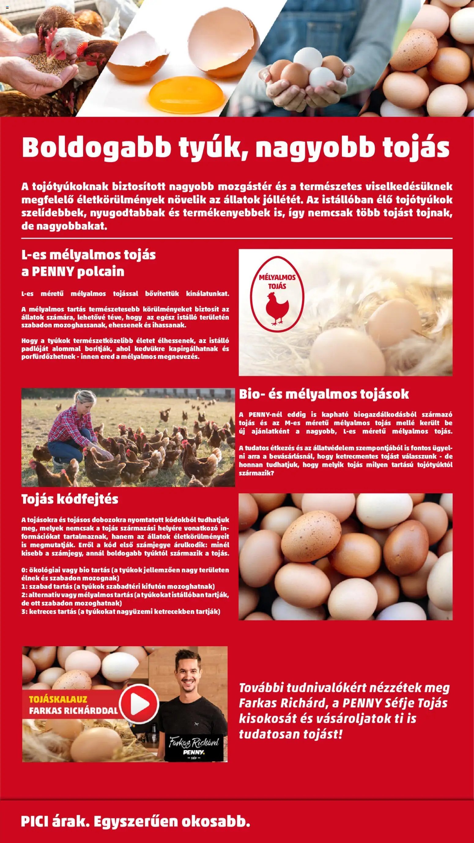 PENNY újság 2025.11.20. Black Friday (2025-11-20 - 2025-11-26)