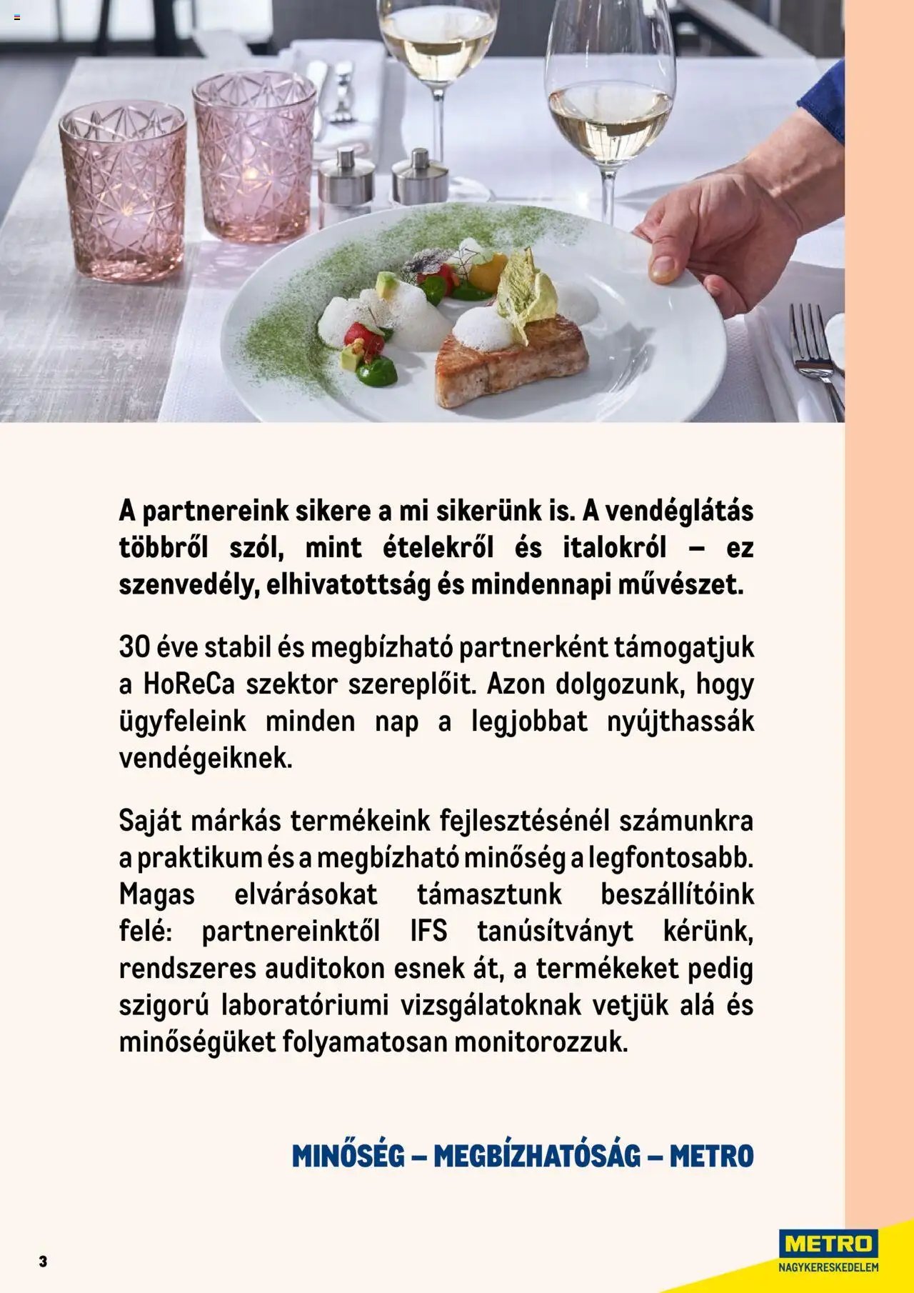 Metro újság 2025.06.01. Professzionális termékek, profi felhasználóknak! (2025-06-01)