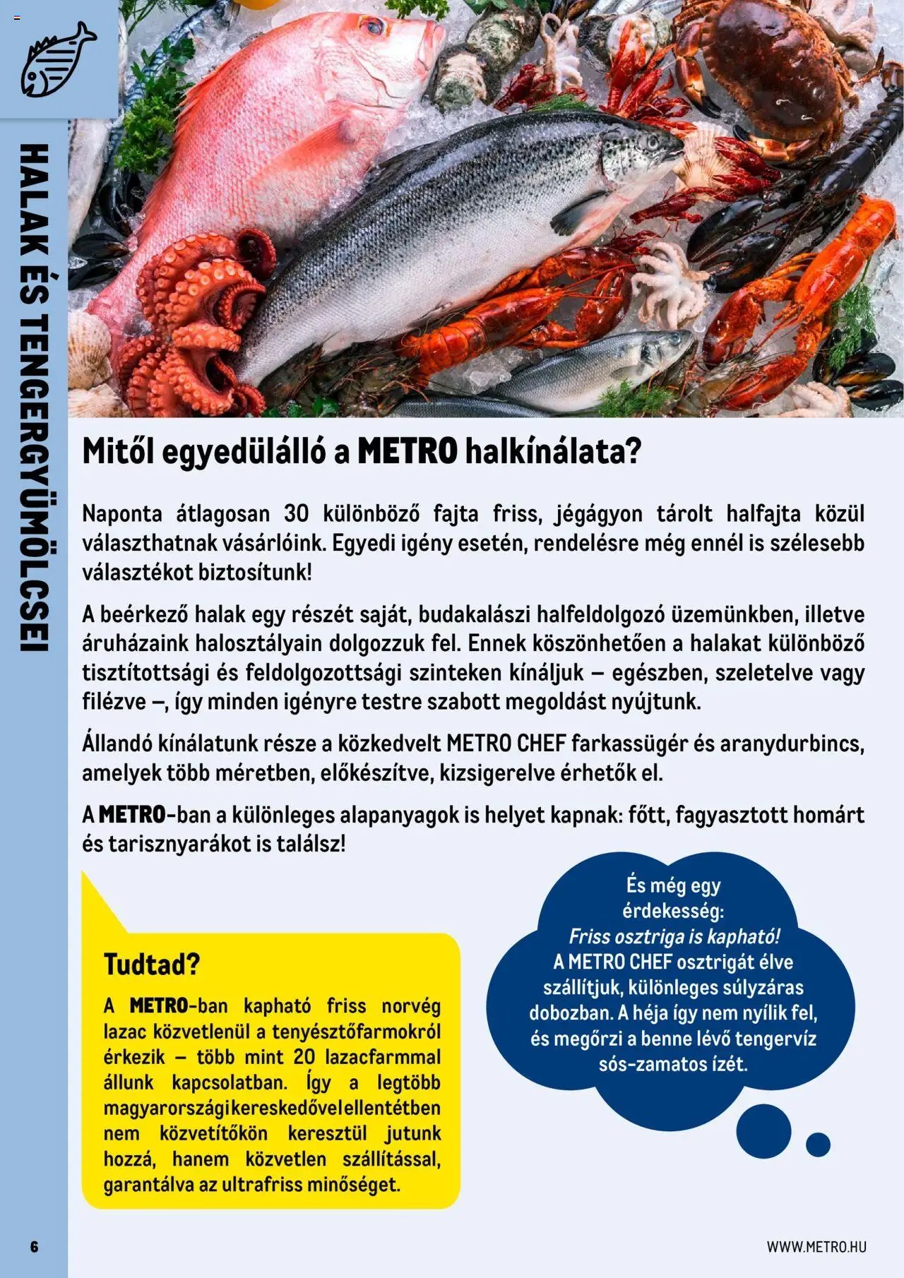 Metro újság 2025.06.01. Professzionális termékek, profi felhasználóknak! (2025-06-01)