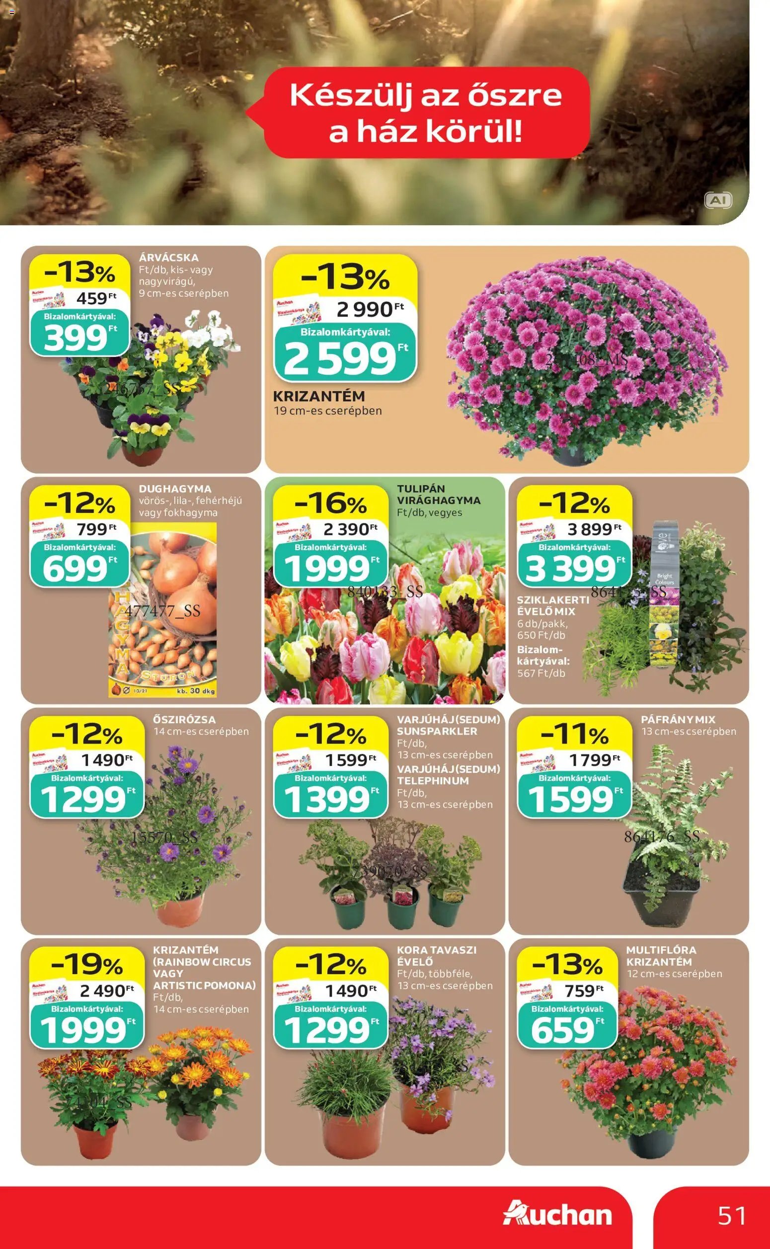 Auchan újság 2026.09.17. Auchan akciós újság