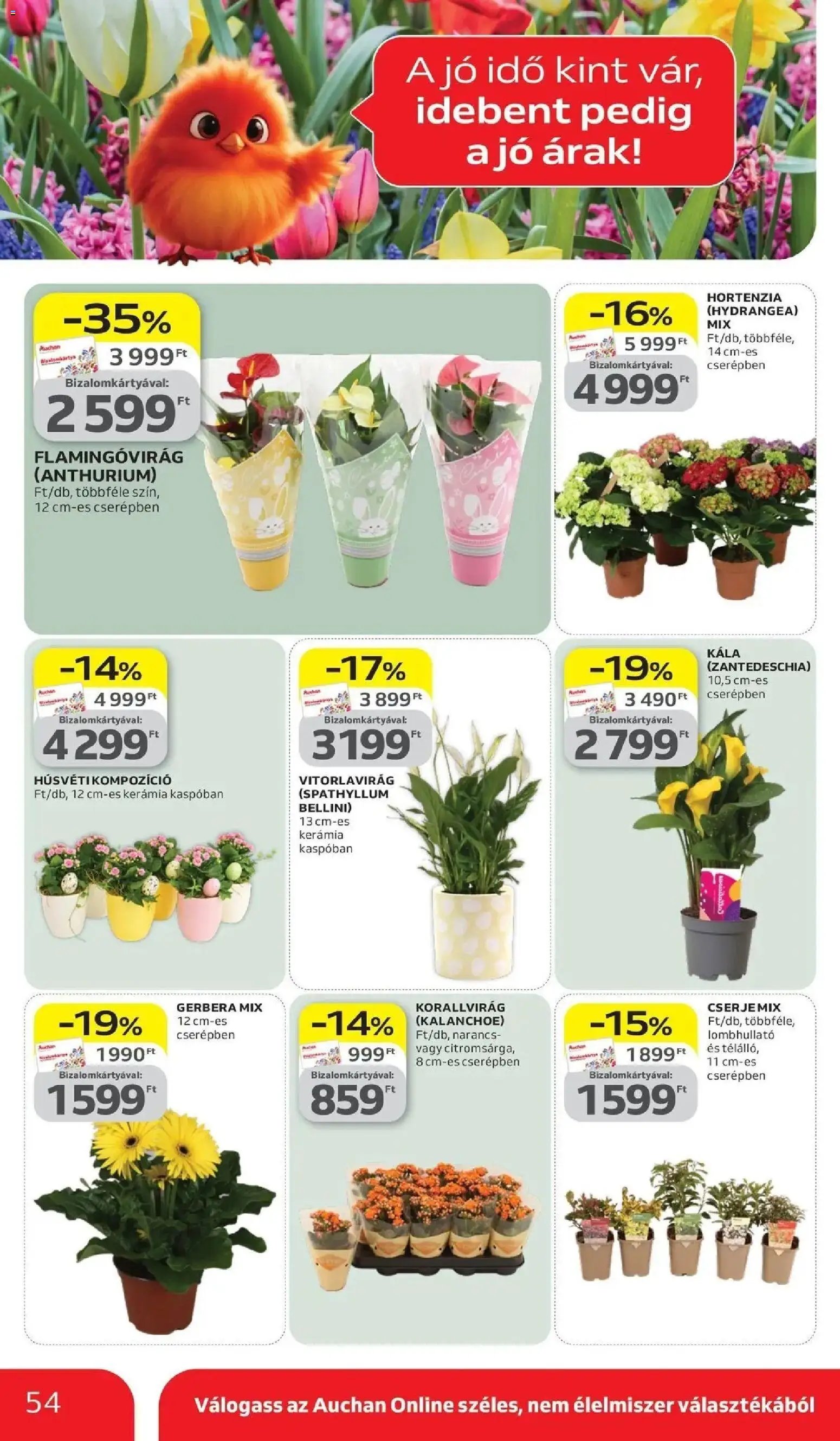 Auchan újság 2026.03.26. Auchan akciós újság Miskolc (2026-03-26 - 2026-04-08)