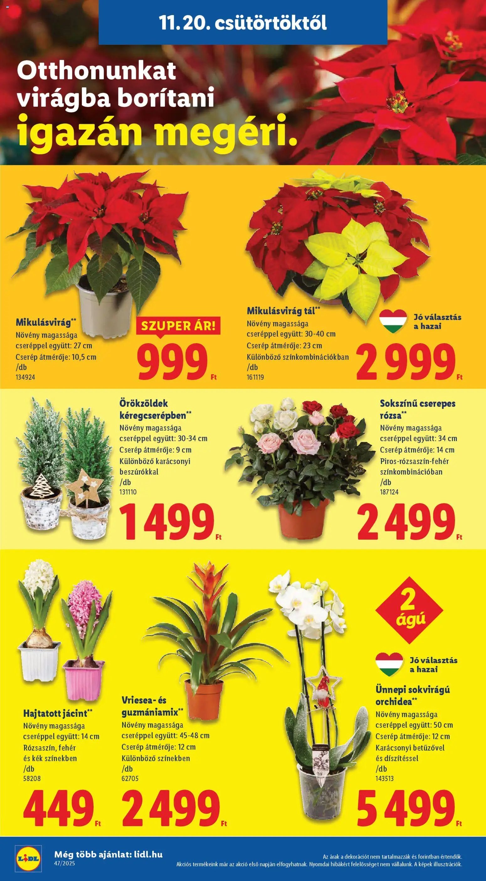 Lidl újság 2025.11.20. Black Friday (2025-11-20 - 2025-11-26)