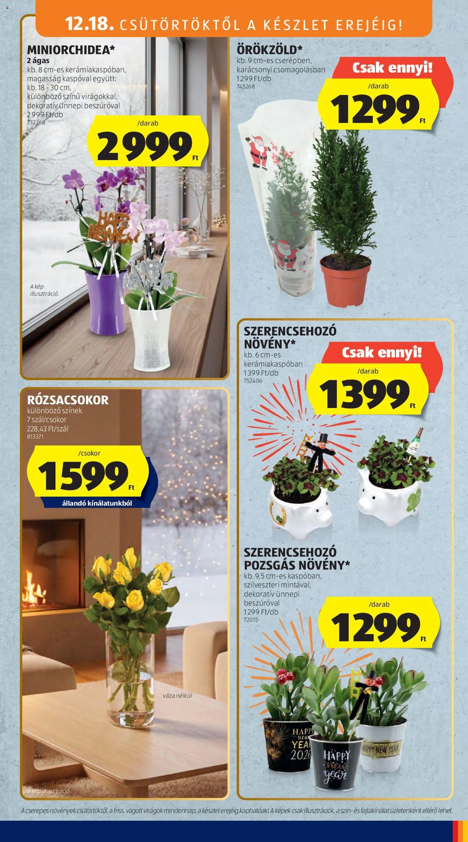 Aldi újság 2025.12.18. Középső sor termékei (2025-12-18 - 2025-12-24)