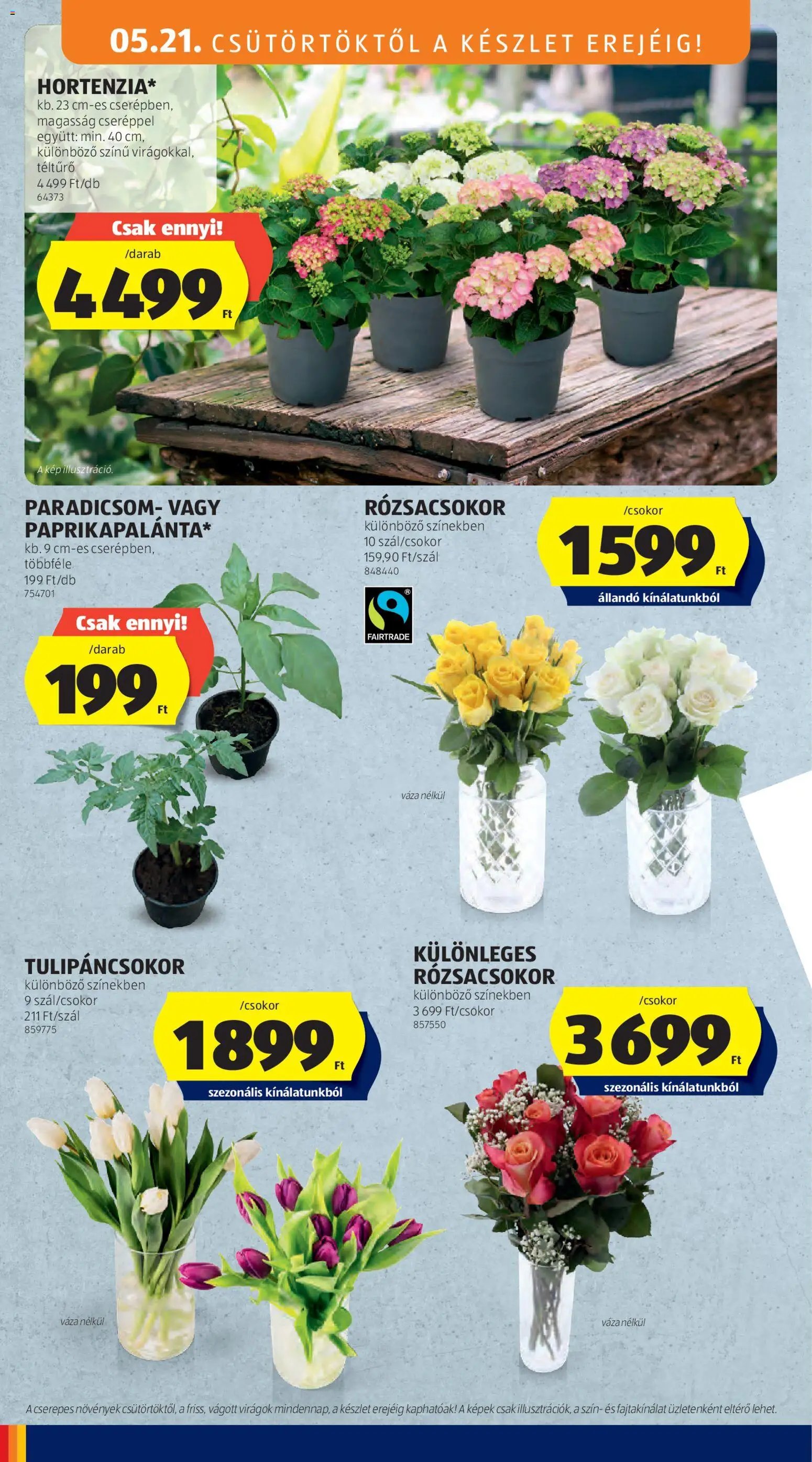 Aldi újság 2026.05.21. Aldi Középső sor termékei (2026-05-21 - 2026-05-27)