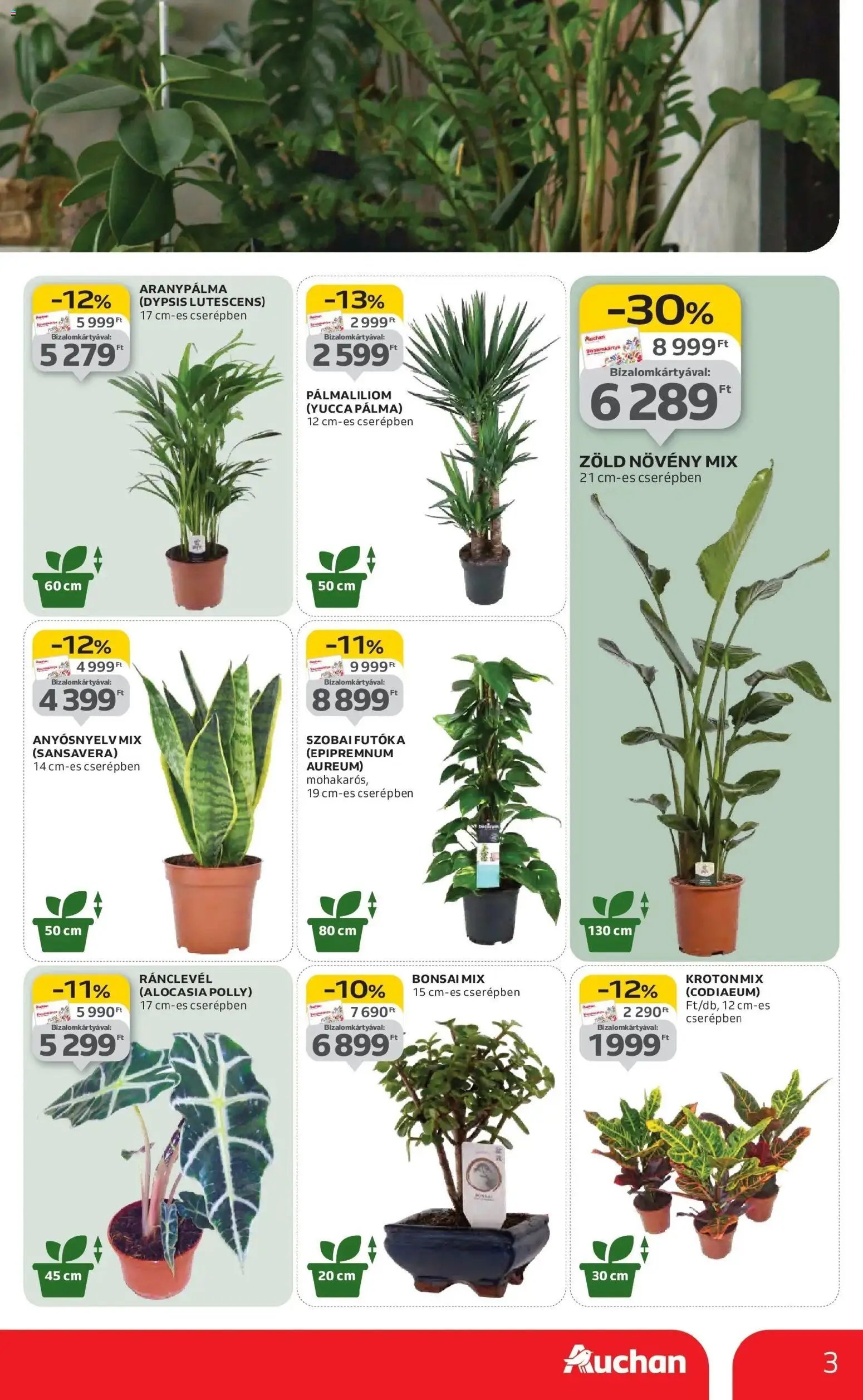 Auchan újság 2026.01.22. Kecskemét Akciós újság Auchan (2026-01-22 - 2026-01-28)