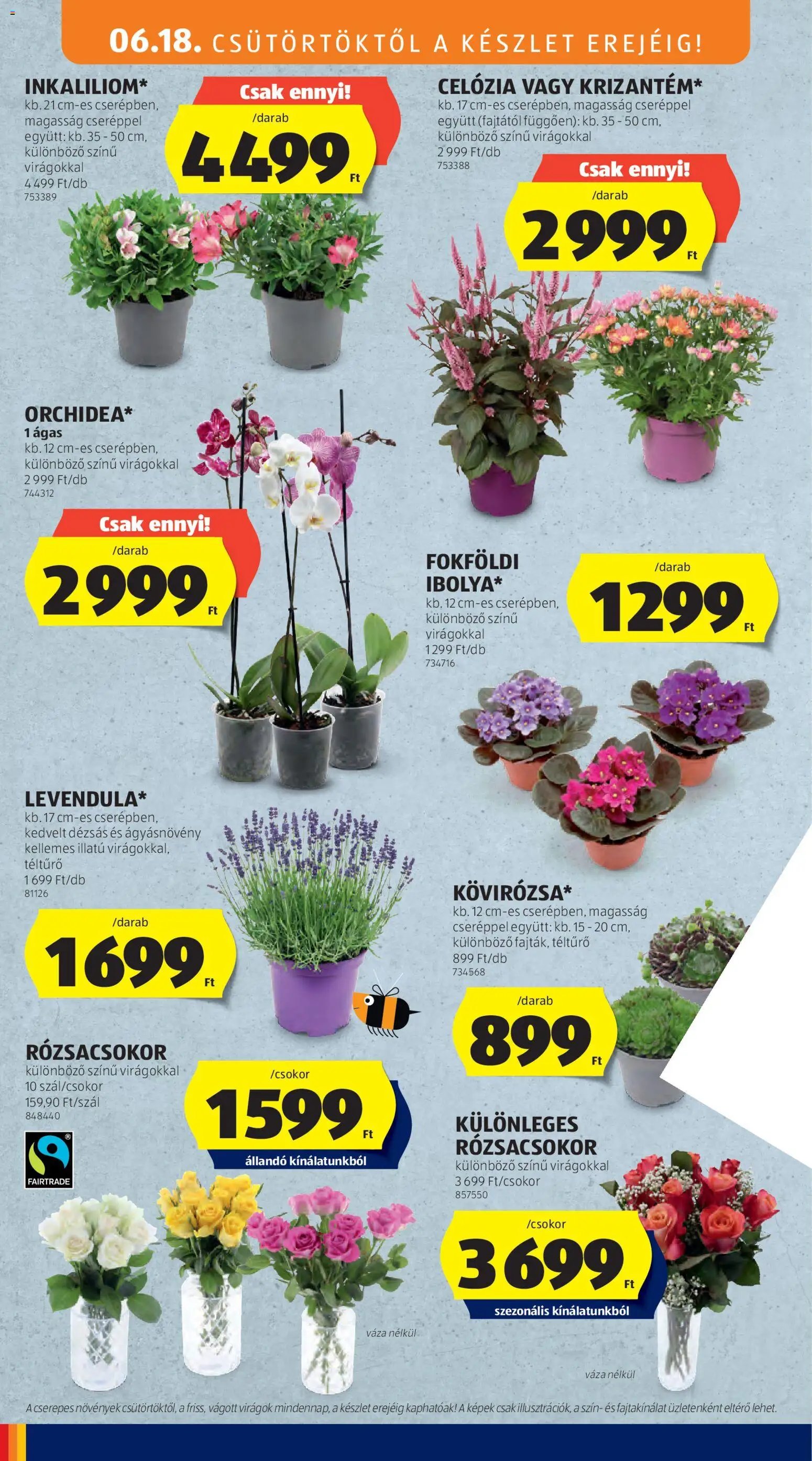 Aldi újság 2026.06.18. Aldi akciós újság