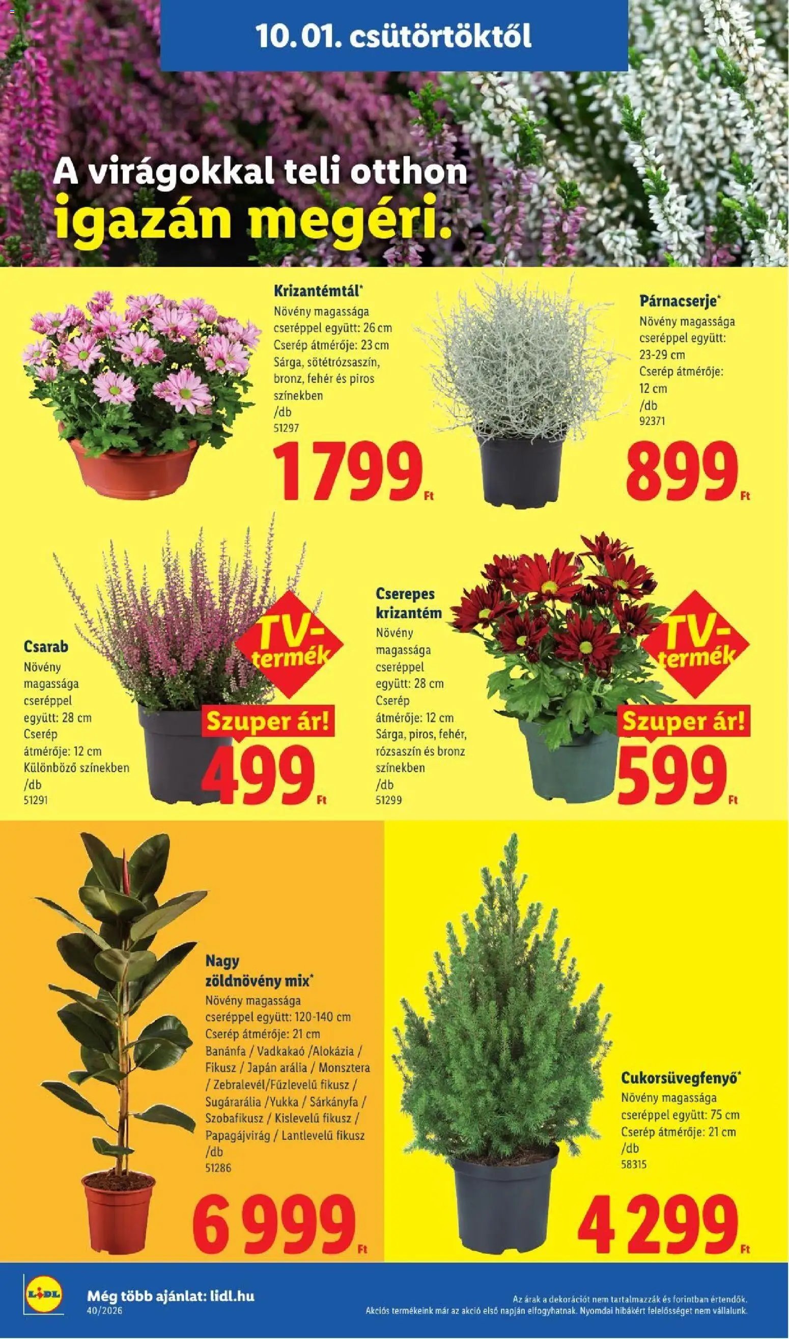 Lidl újság 2026.10.01. Lidl akciós újság