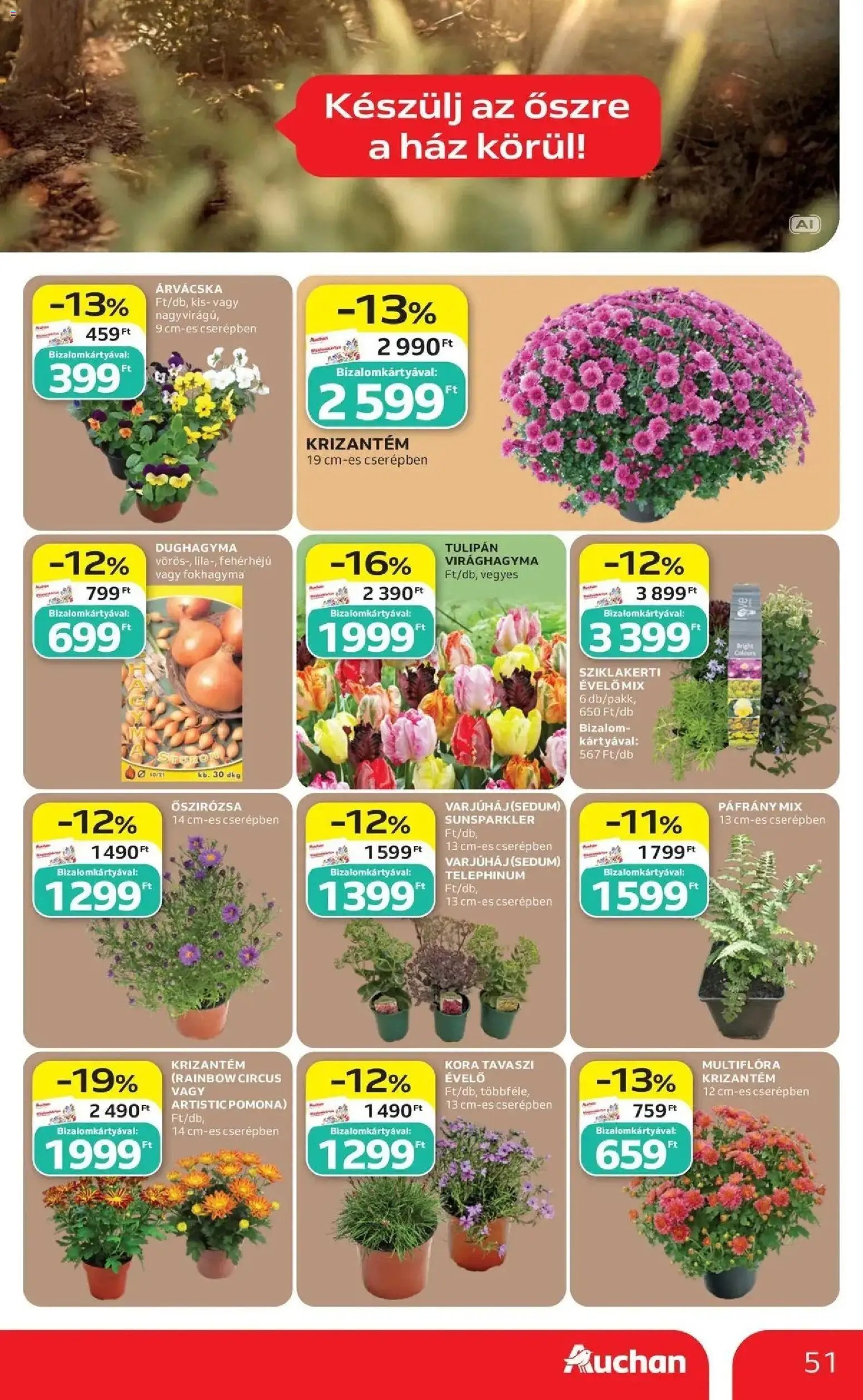 Auchan újság 2026.09.17. Auchan akciós újság Szolnok