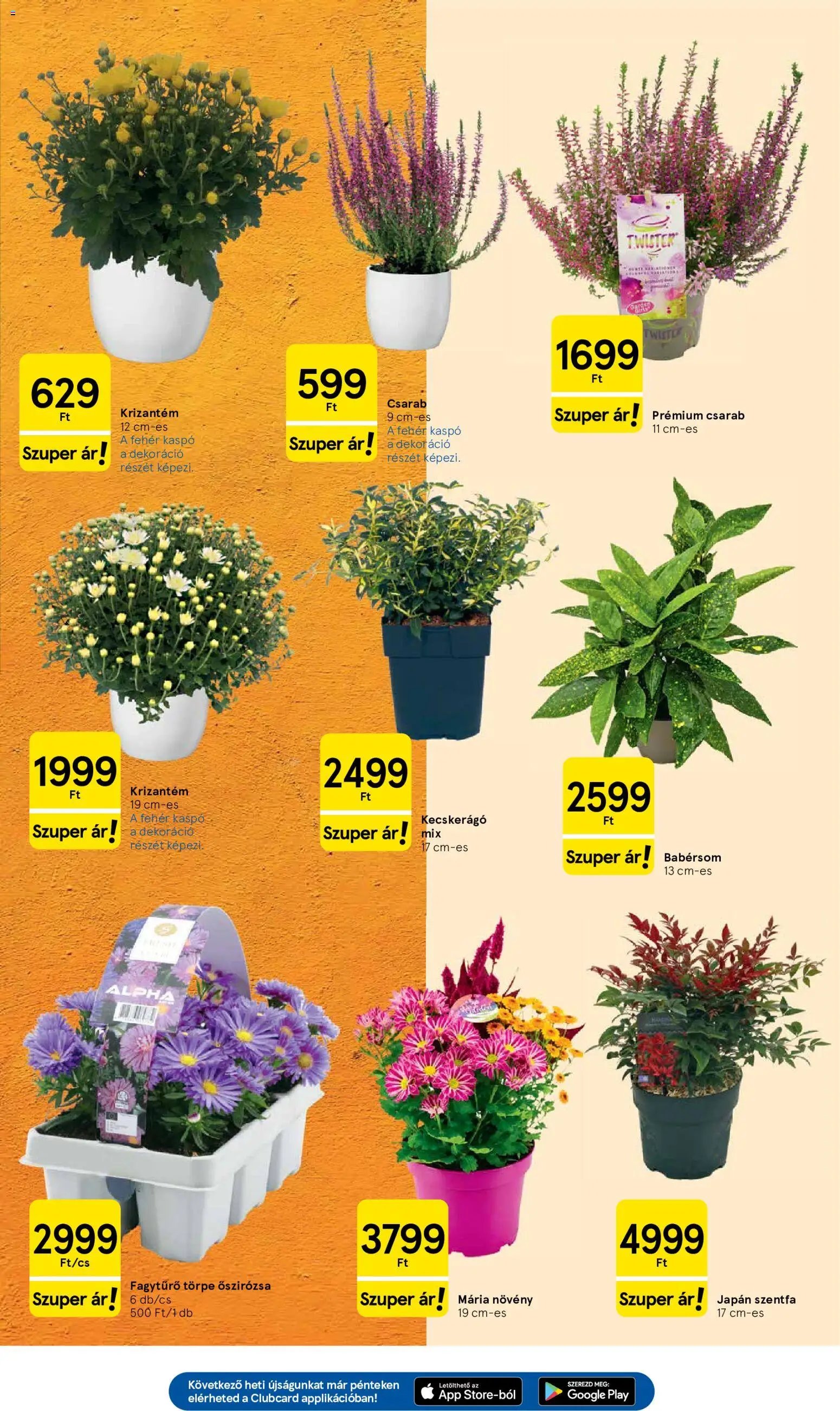 Tesco újság 2026.10.01. Tesco aktuális akciós újság