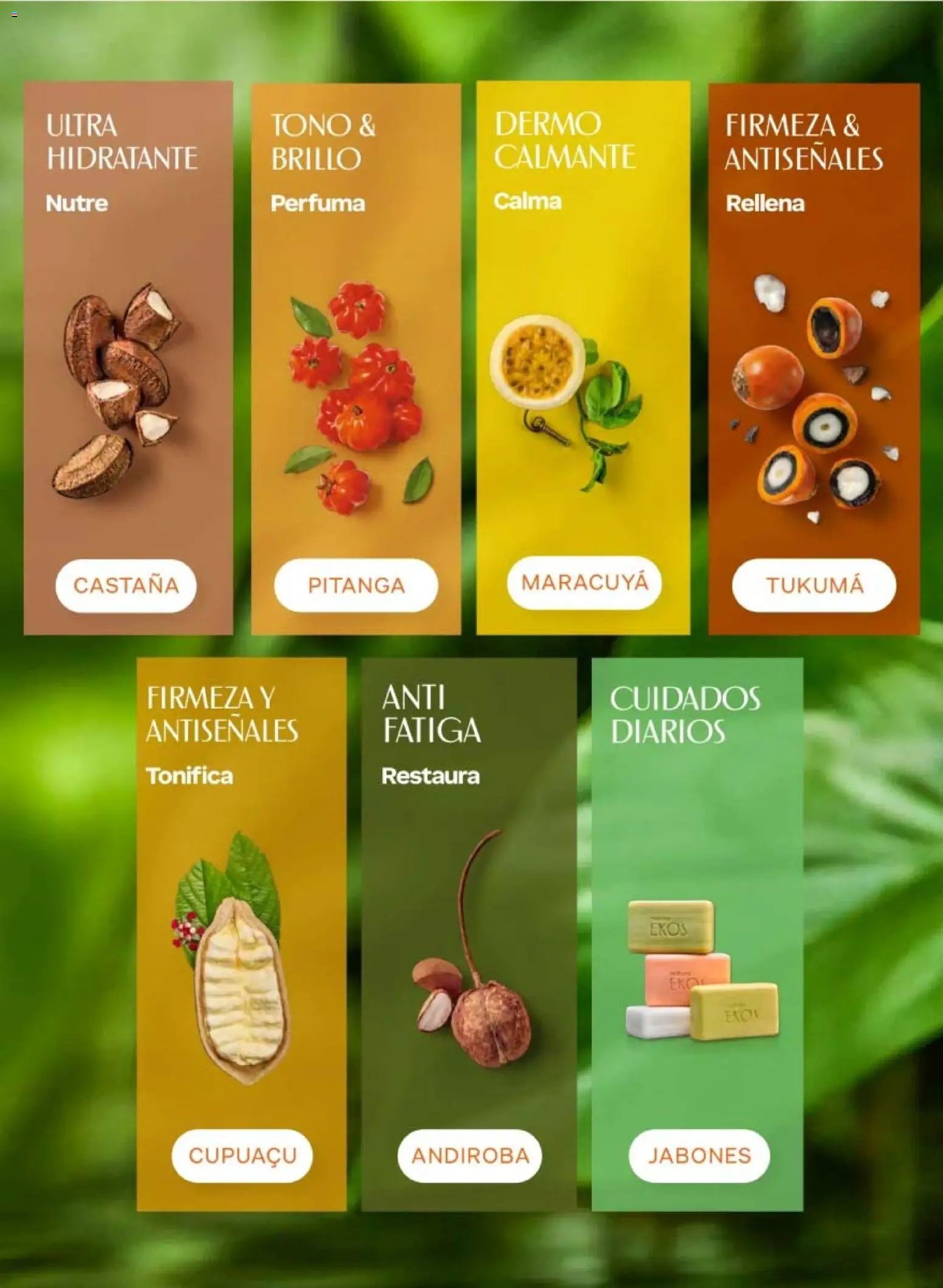 Natura oferta desde 10/07/2026 Natura campaña 11 2026