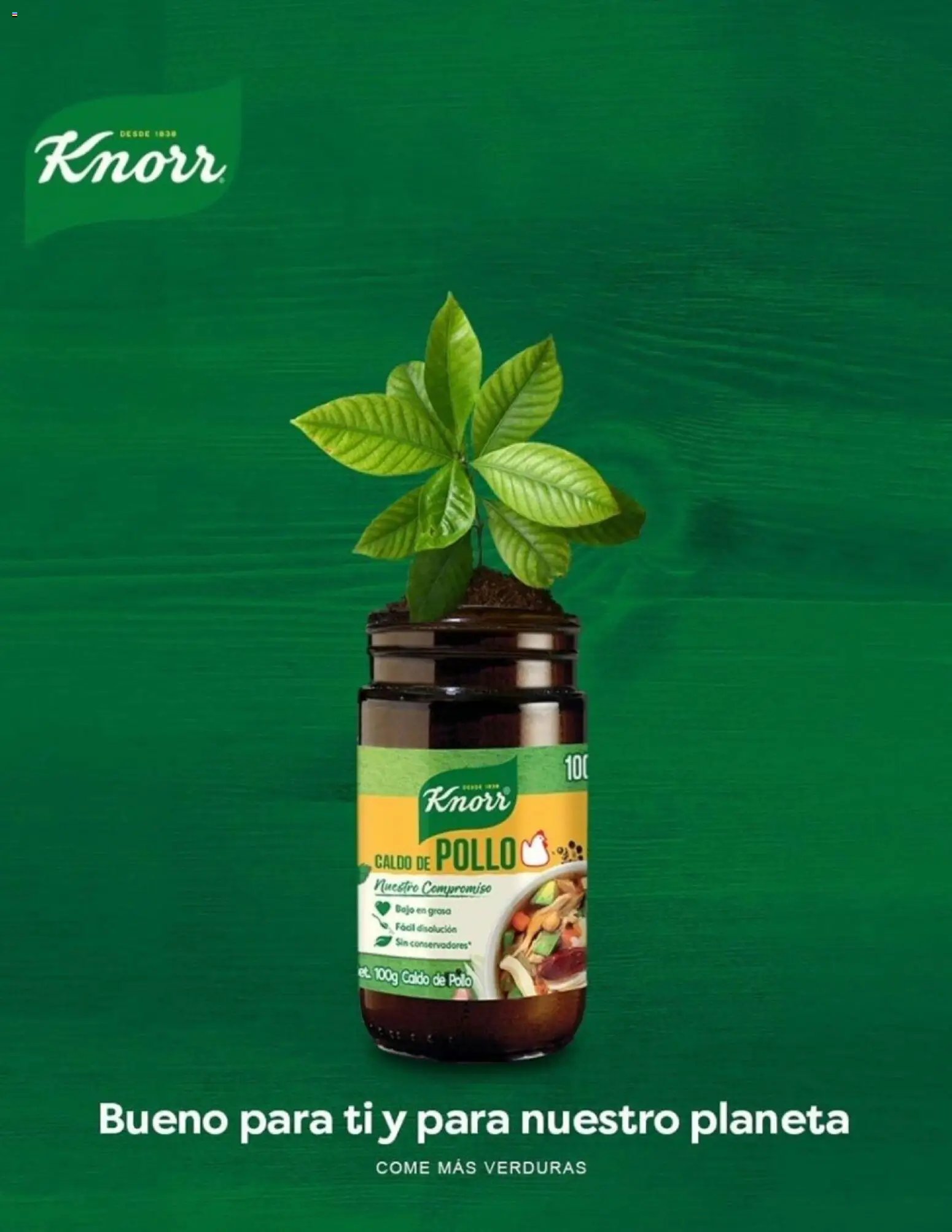 Casa Ley oferta desde 11/11/2025 Revista Ley + Para ti (2025-11-11 - 2025-11-30)