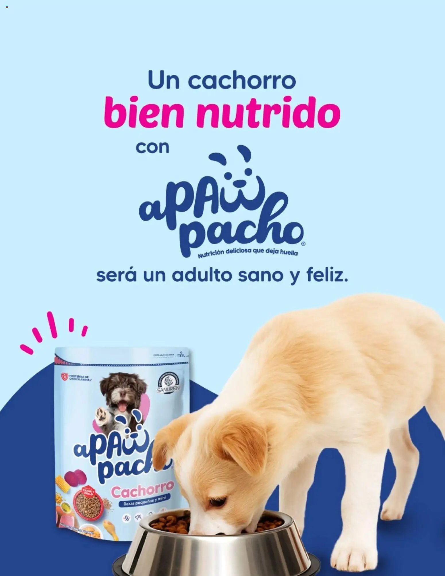 Casa Ley oferta desde 11/11/2025 Revista Ley + Para ti (2025-11-11 - 2025-11-30)