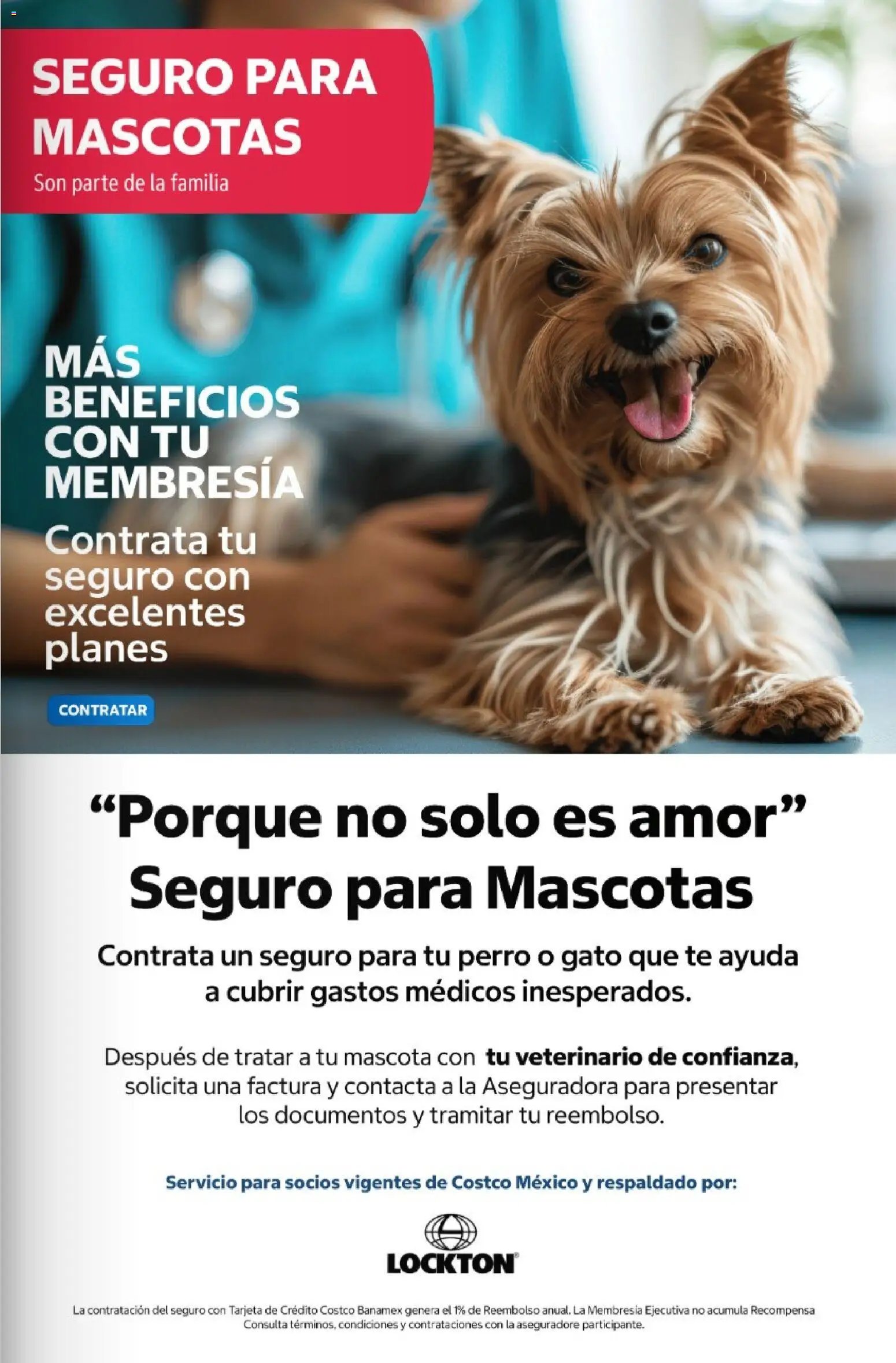 Costco oferta desde 01/07/2026 Costco Revista Julio 2026