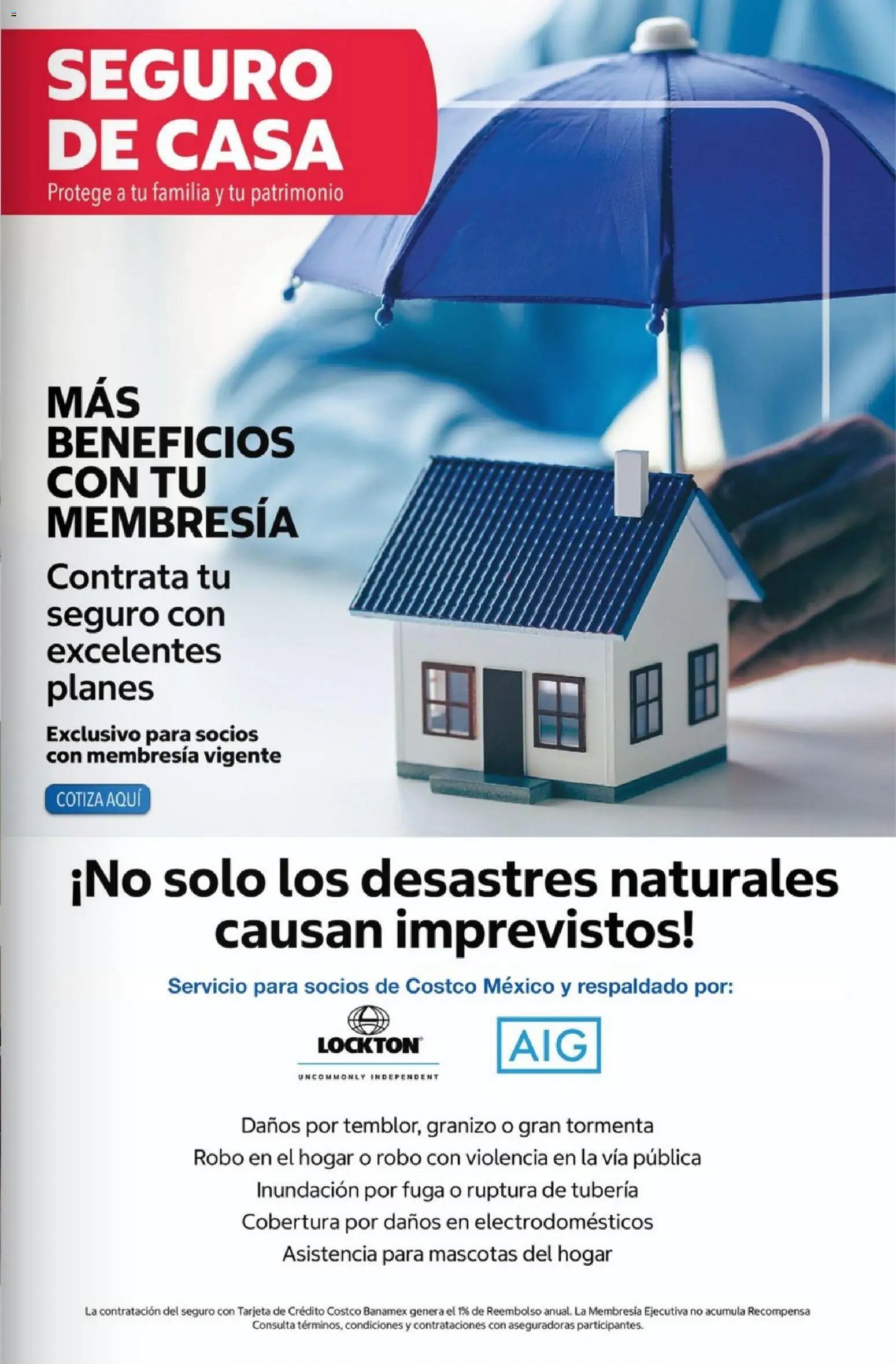 Costco oferta desde 01/07/2026 Costco Revista Julio 2026