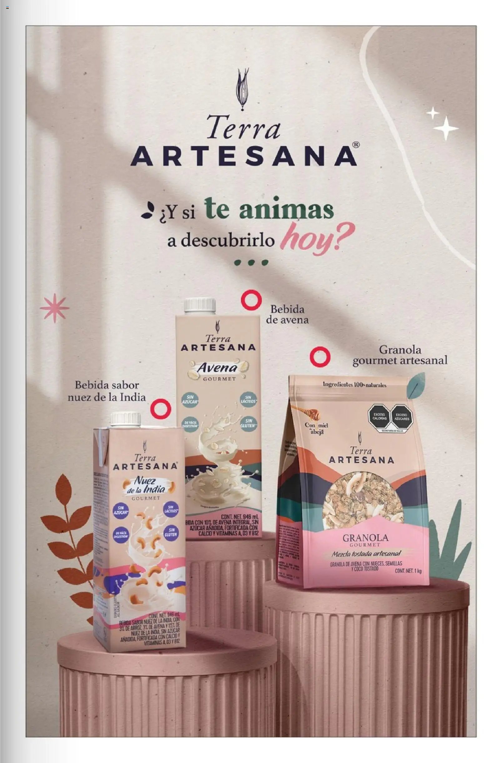 Costco oferta desde 01/07/2026 Costco Revista Julio 2026