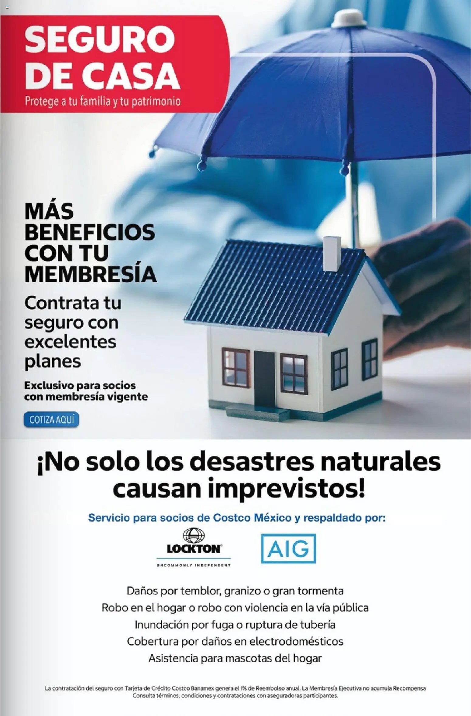 Costco oferta desde 01/06/2026 Costco Revista Junio 2026