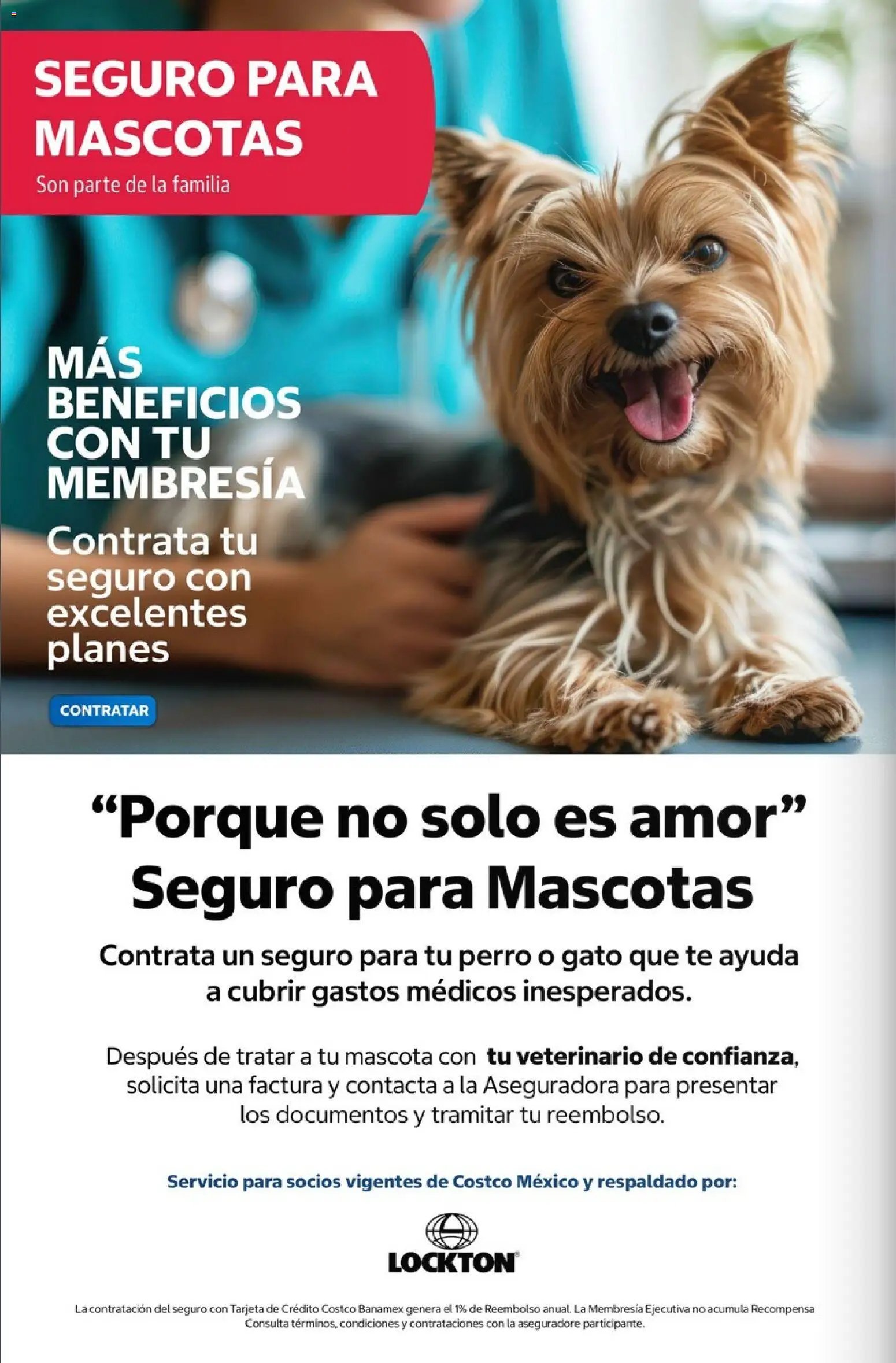 Costco oferta desde 01/06/2026 Costco Revista Junio 2026