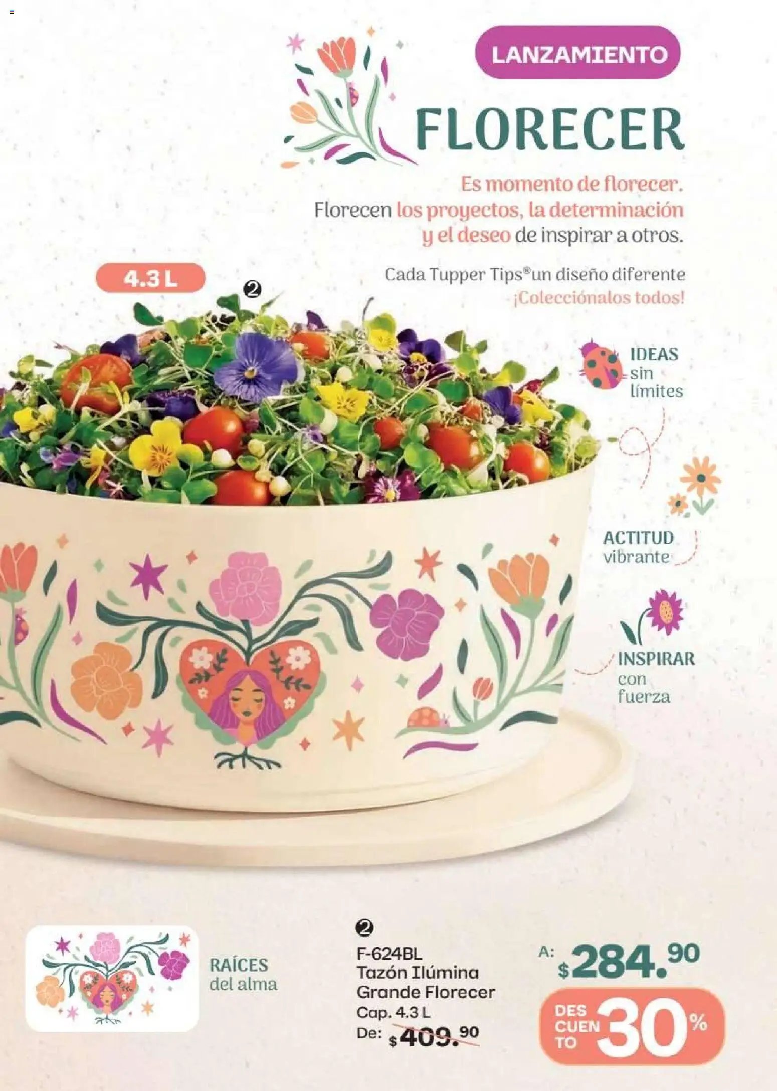 Tupperware oferta desde 15/06/2026 Tupperware catálogo