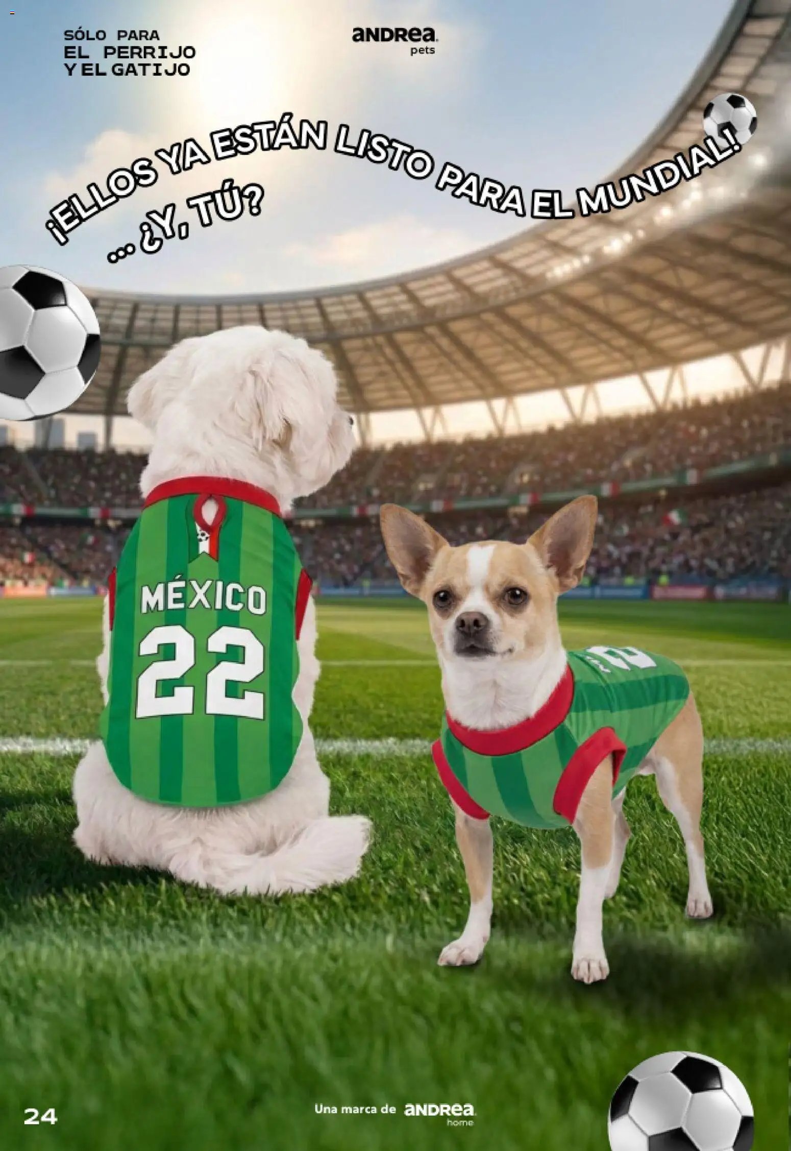 Andrea oferta desde 24/05/2026 Andrea catálogo Pets