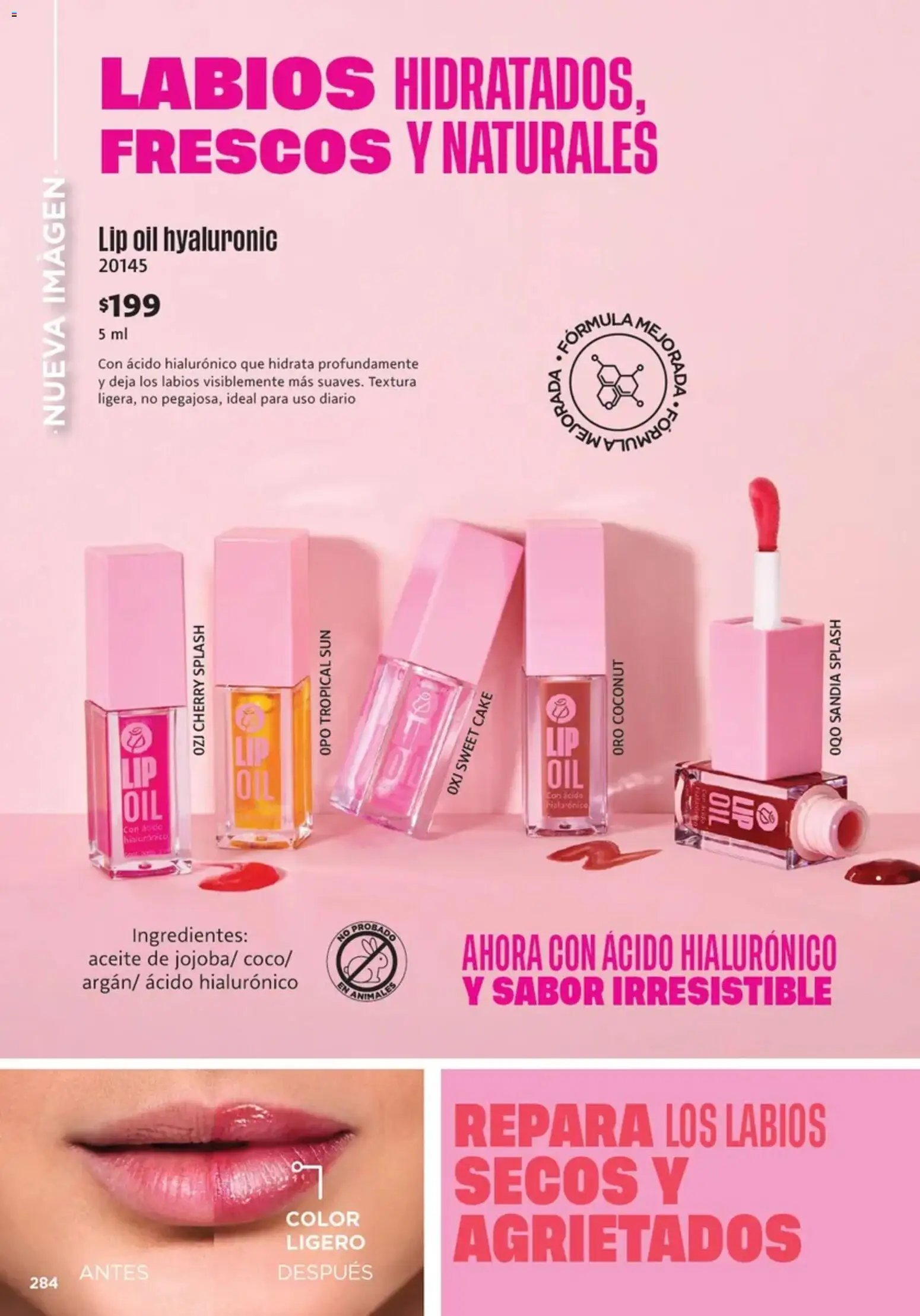 Ilusión oferta desde 01/07/2026 Ilusión catálogo Otoño
