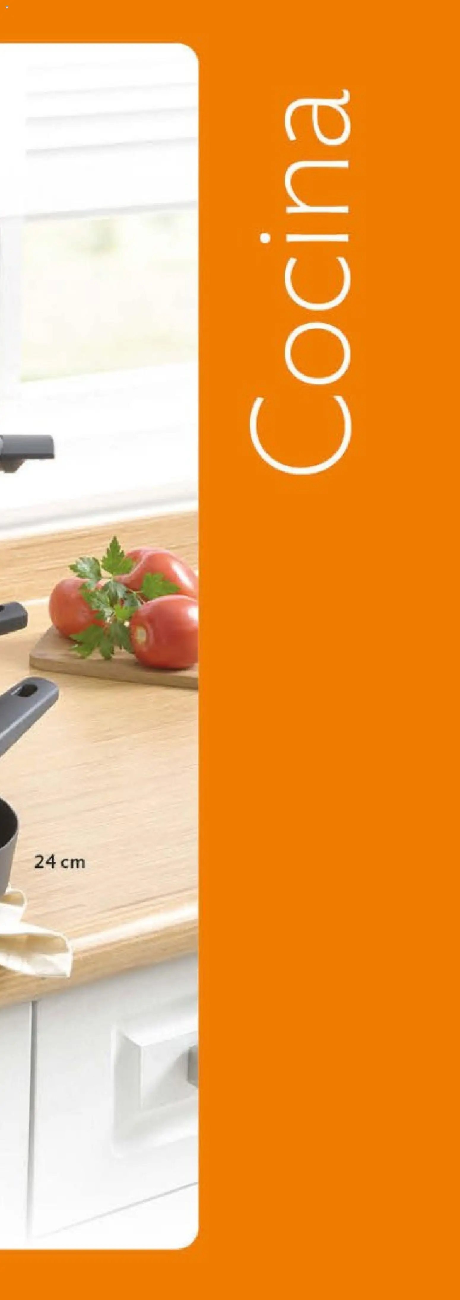 Betterware oferta desde 29/06/2026 Betterware Catálogo de Premios