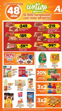 Arteli oferta desde 13/07/2026 Arteli folleto