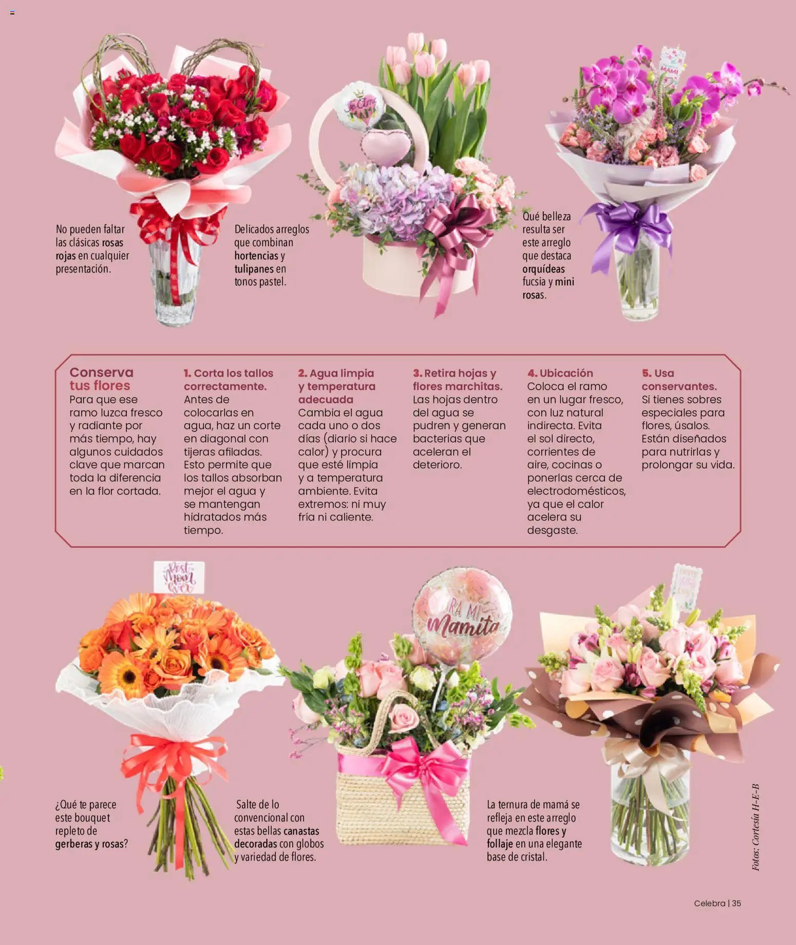H-E-B oferta desde 01/05/2026 H-E-B folleto Celebra