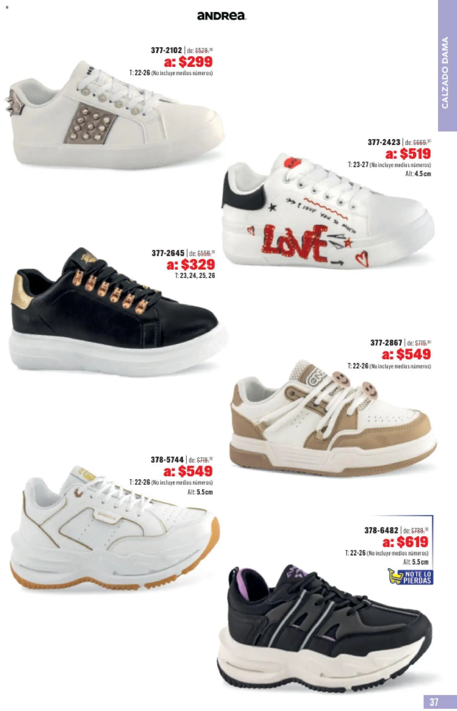 Andrea oferta desde 31/05/2026 Andrea catálogo Outlet