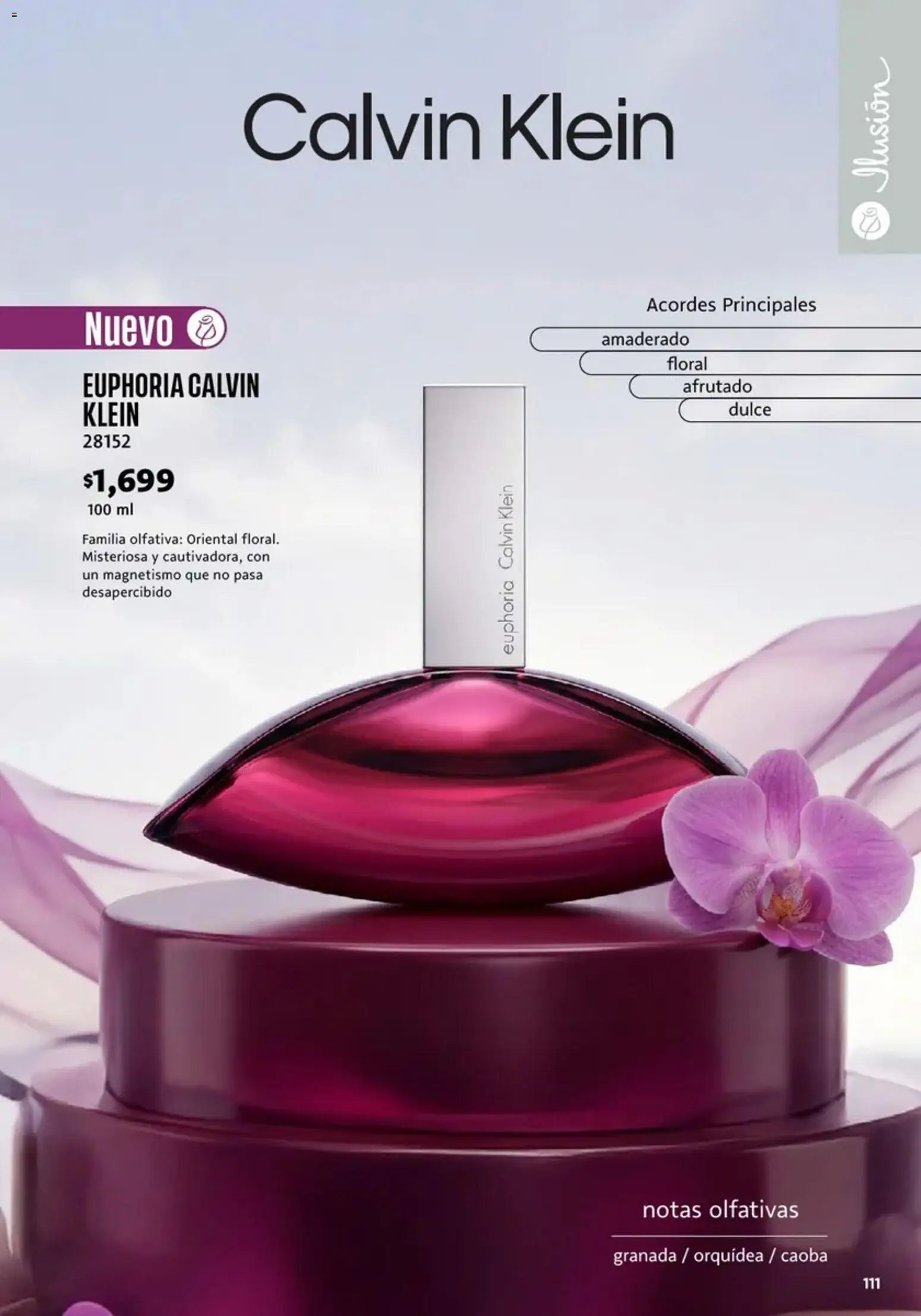 Ilusión oferta desde 01/07/2026 Ilusión catálogo Marcas Amigas