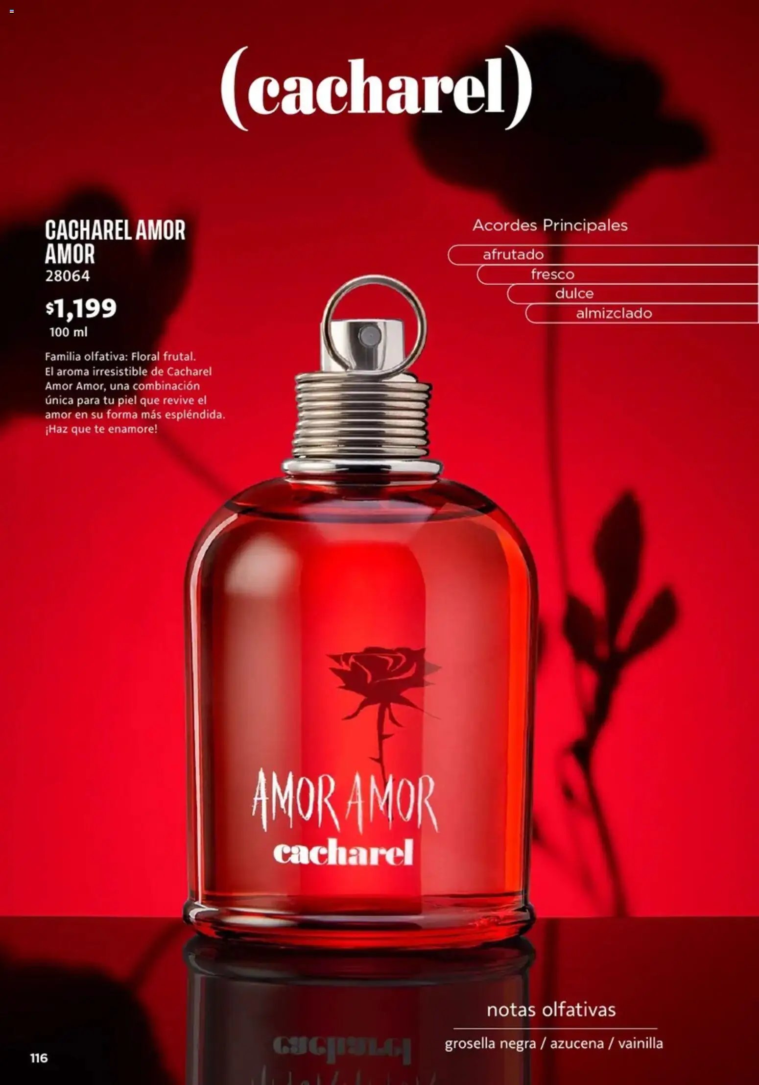 Ilusión oferta desde 01/07/2026 Ilusión catálogo Marcas Amigas
