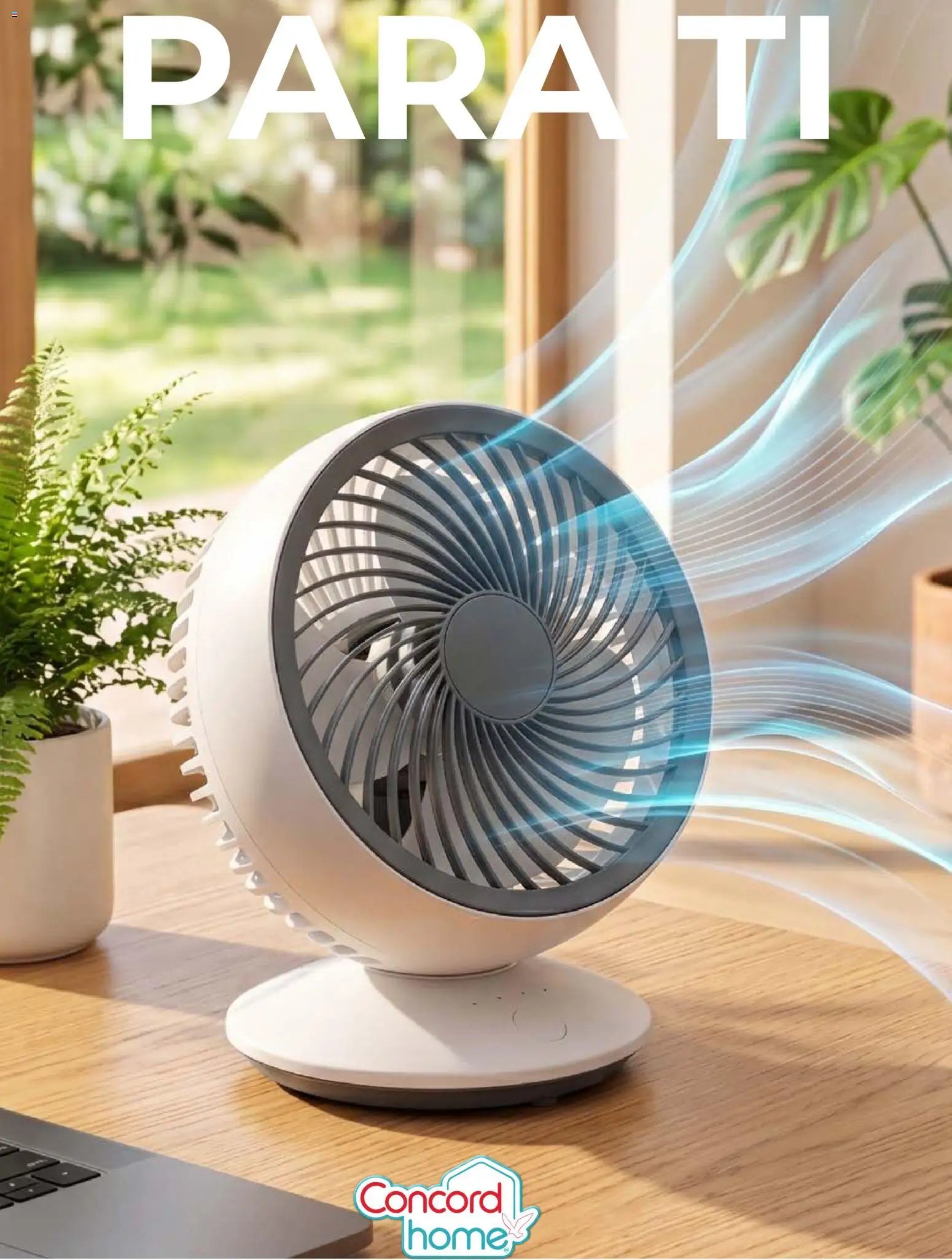 Colchas Concord oferta desde 01/07/2026 Colchas Concord catálogo Home