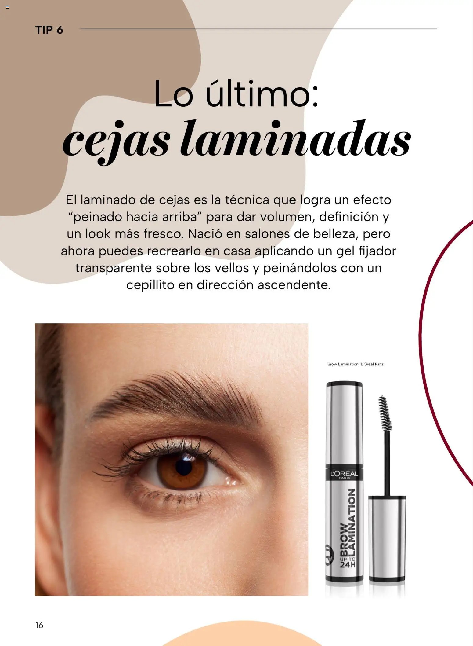 Chedraui oferta desde 24/10/2025 Folleto Vive Bella (2025-10-24)