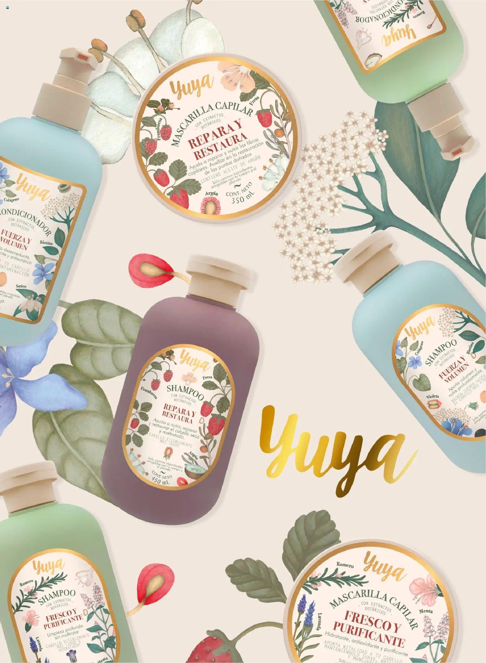 Chedraui oferta desde 24/10/2025 Folleto Vive Bella (2025-10-24)