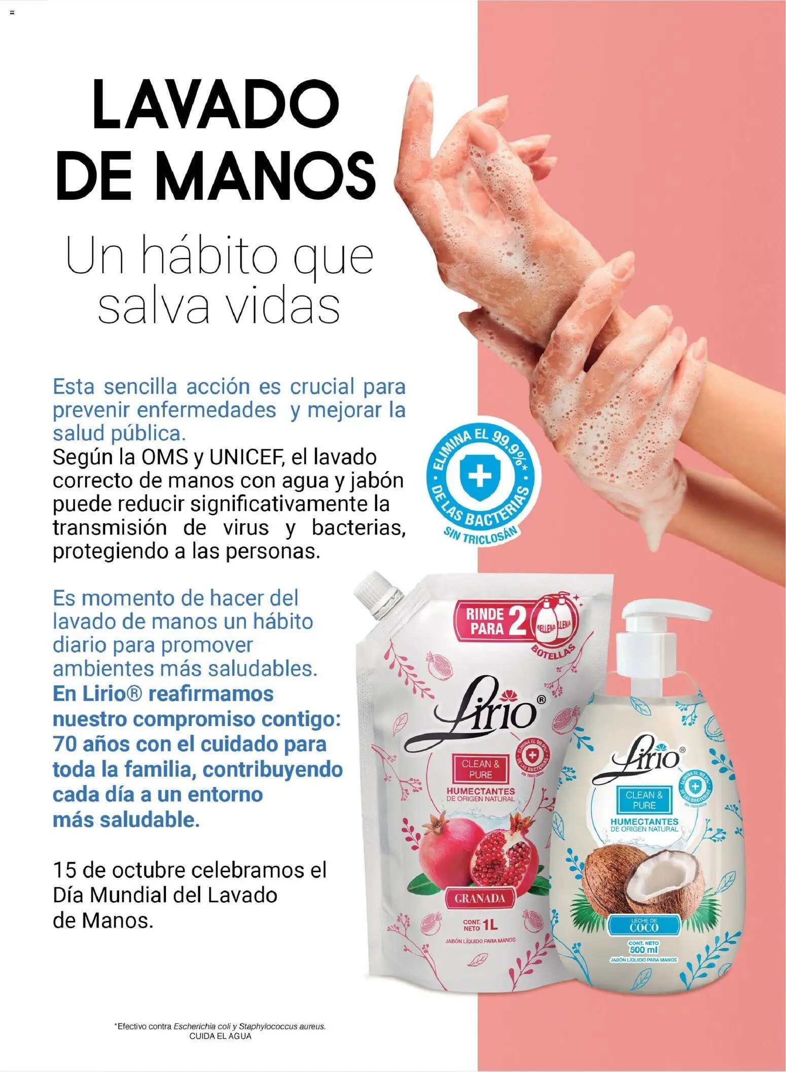 Chedraui oferta desde 24/10/2025 Folleto Vive Bella (2025-10-24)