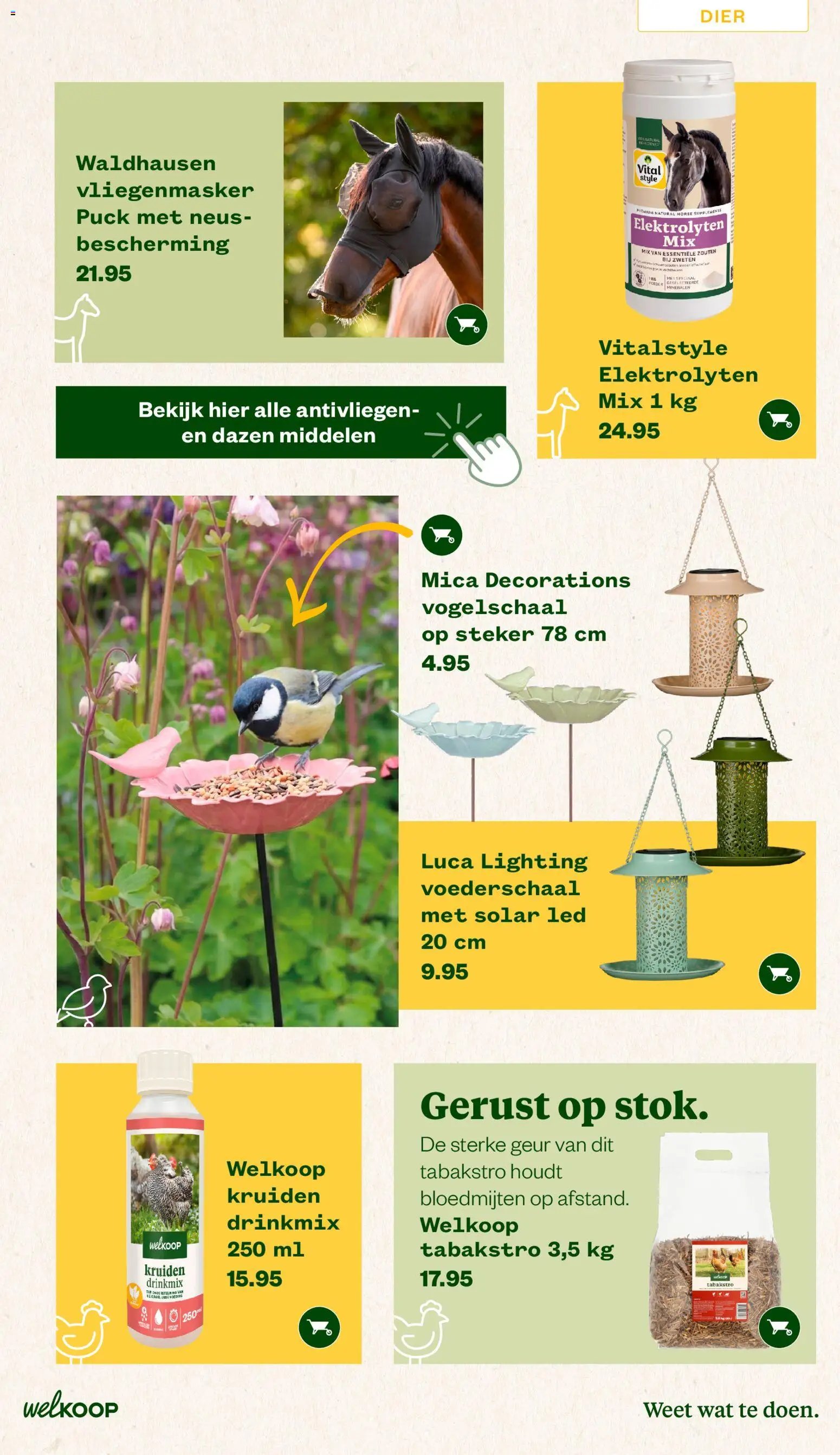 Welkoop folder van 22-06-2026 Welkoop folder - Zomermagazine