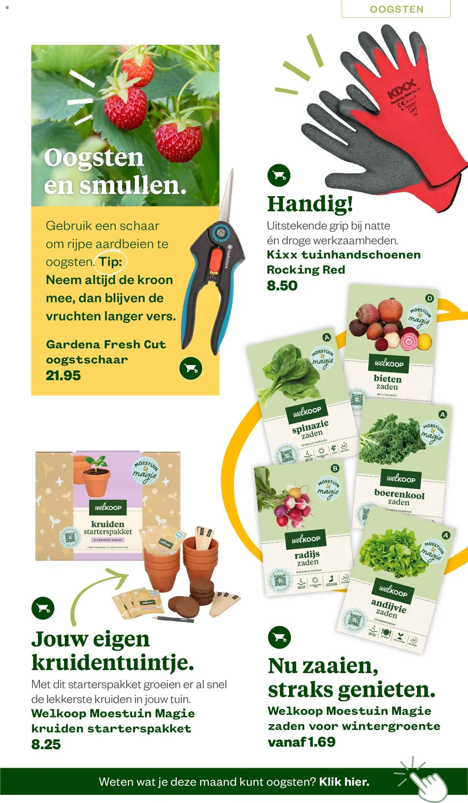 Welkoop folder van 22-06-2026 Welkoop folder - Zomermagazine