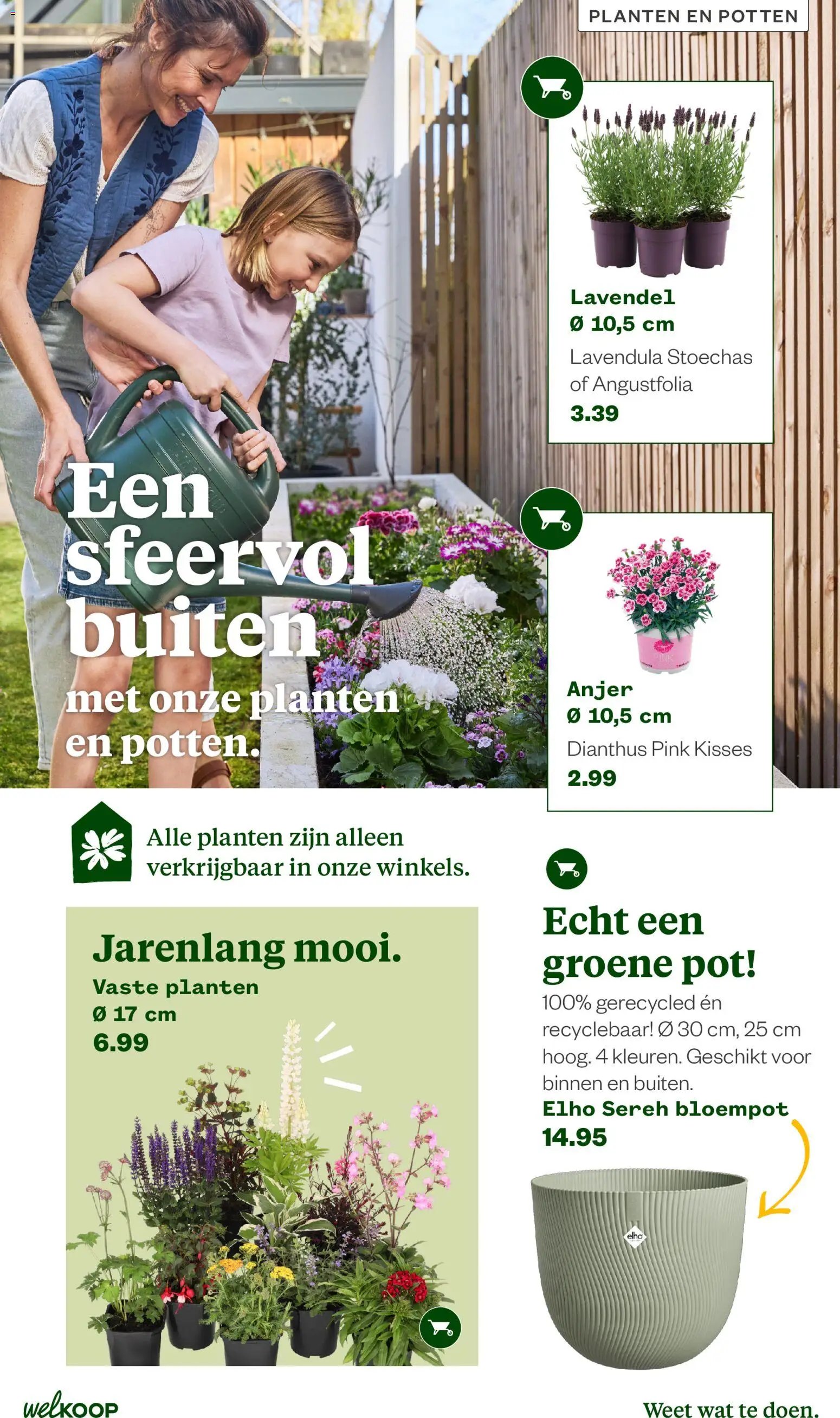 Welkoop folder van 22-06-2026 Welkoop folder - Zomermagazine
