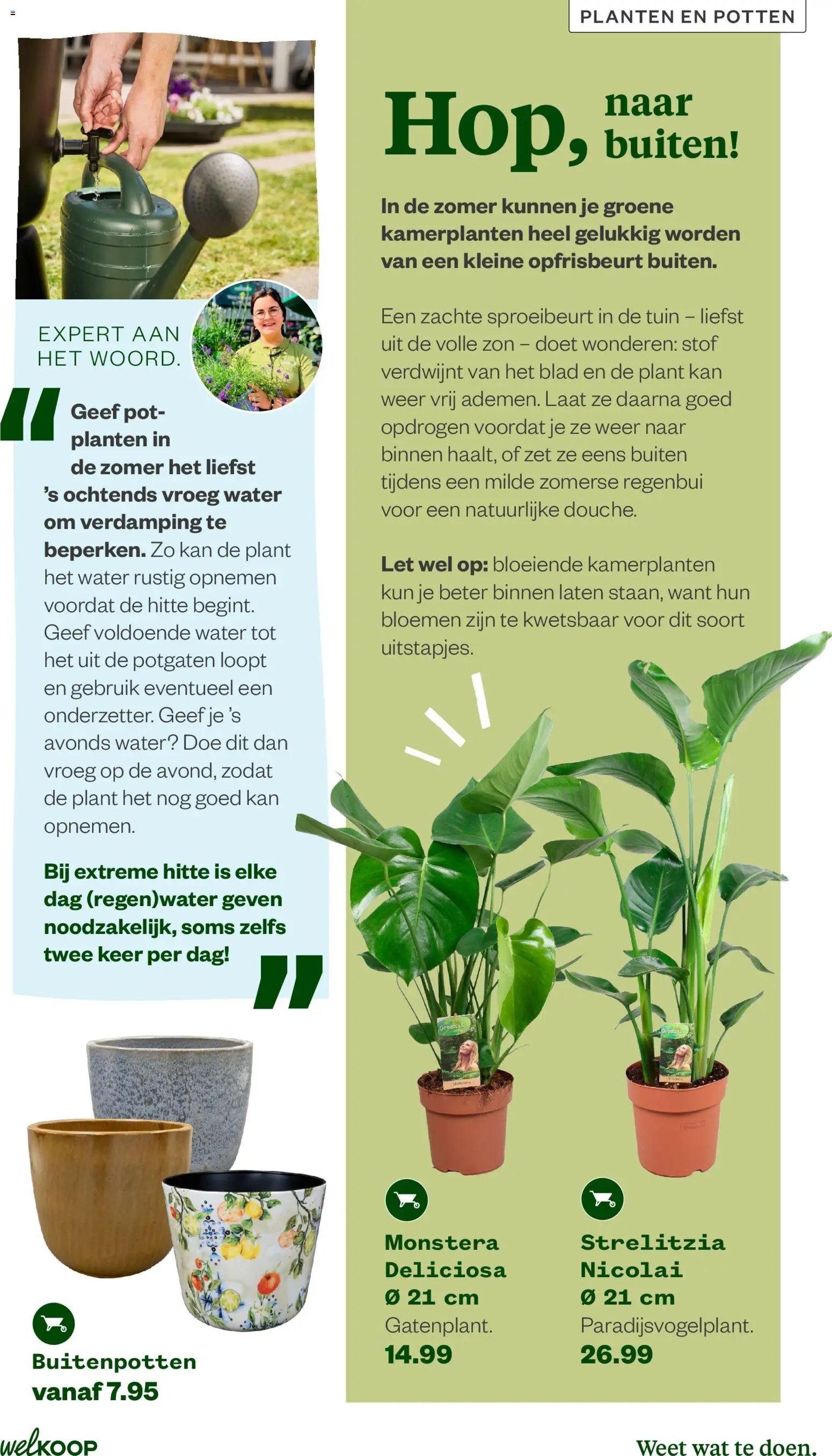 Welkoop folder van 22-06-2026 Welkoop folder - Zomermagazine