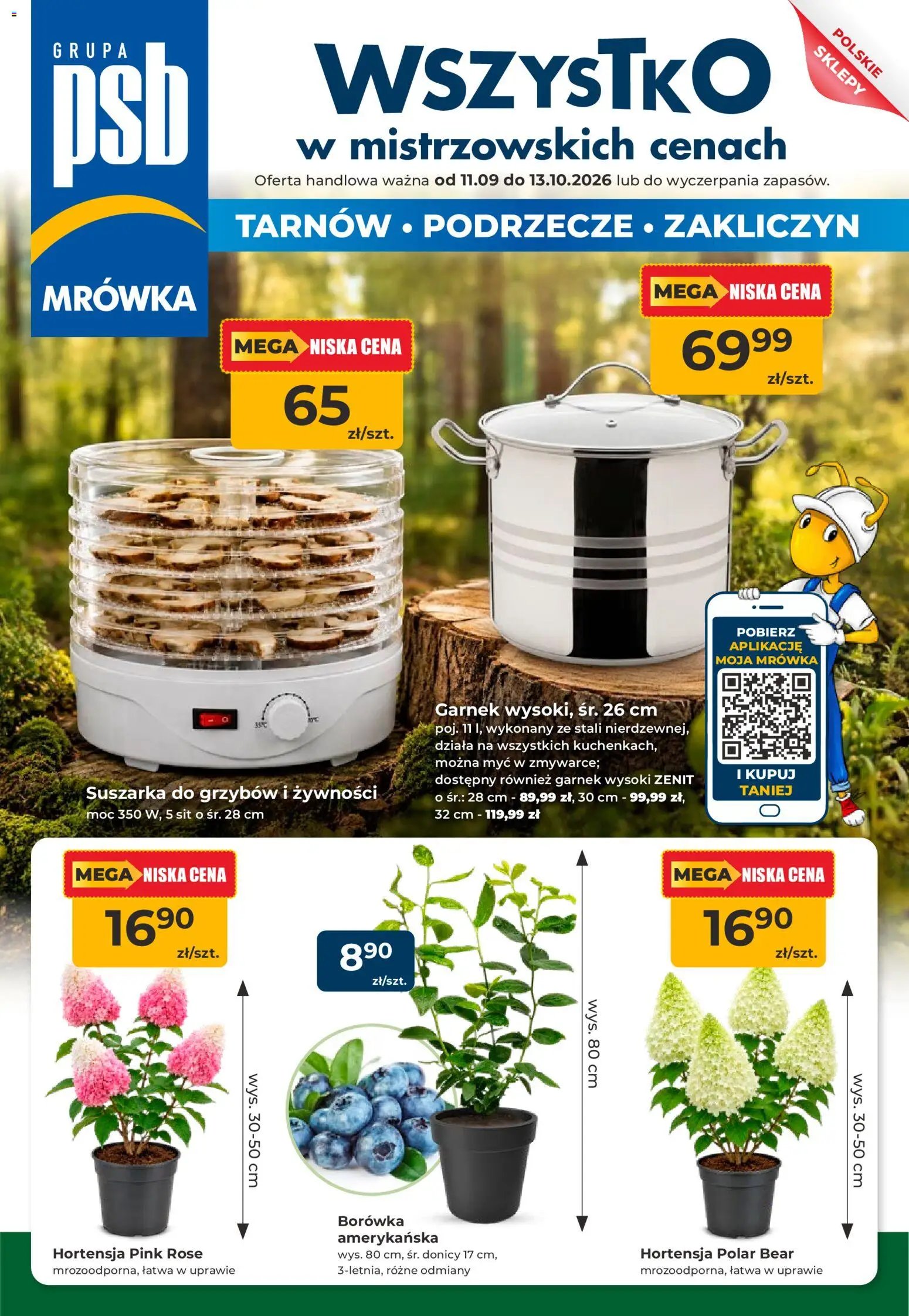 Mrówka gazetka od 11.09.2026 Mrówka gazetka - Tarnów