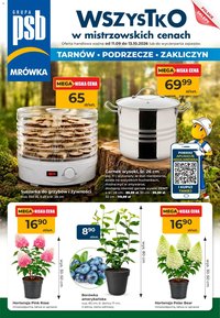 Mrówka gazetka od 11.09.2026 Mrówka gazetka - Tarnów