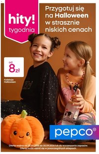 Pepco gazetka od 24.09.2026 Pepco gazetka