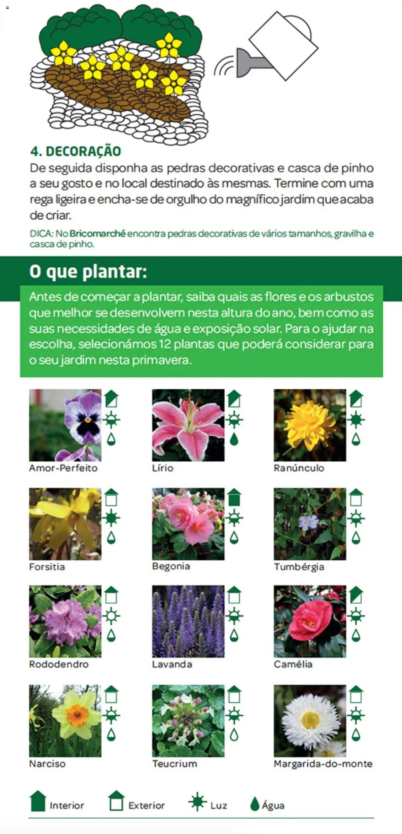 BricoMarché folheto a partir de 27/12/2023 Jardim (2023-12-27) | 4