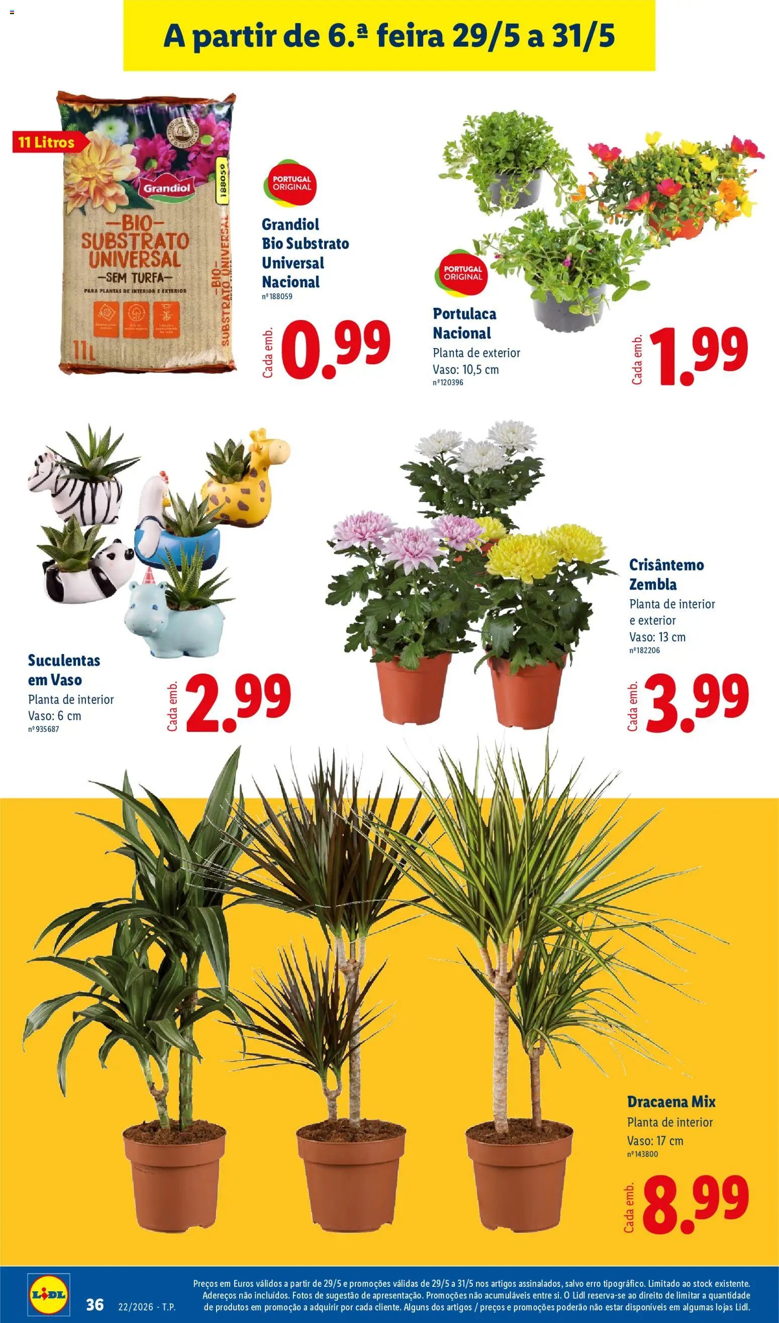 Lidl folheto a partir de 25/05/2026 Lidl Folheto (2026-05-25 - 2026-05-31) | 36