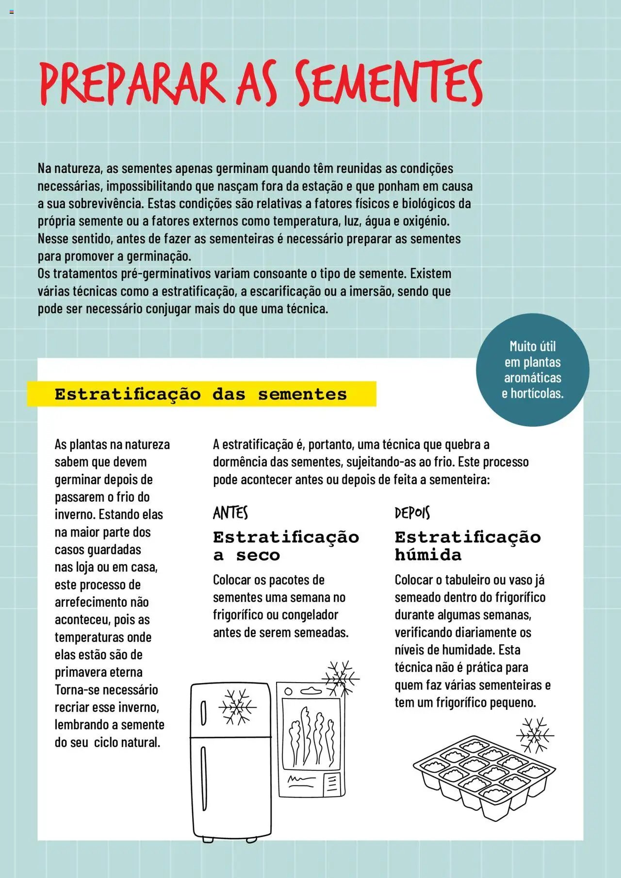 BricoMarché folheto a partir de 17/01/2024 Sementeiras (2024-01-17) | 2