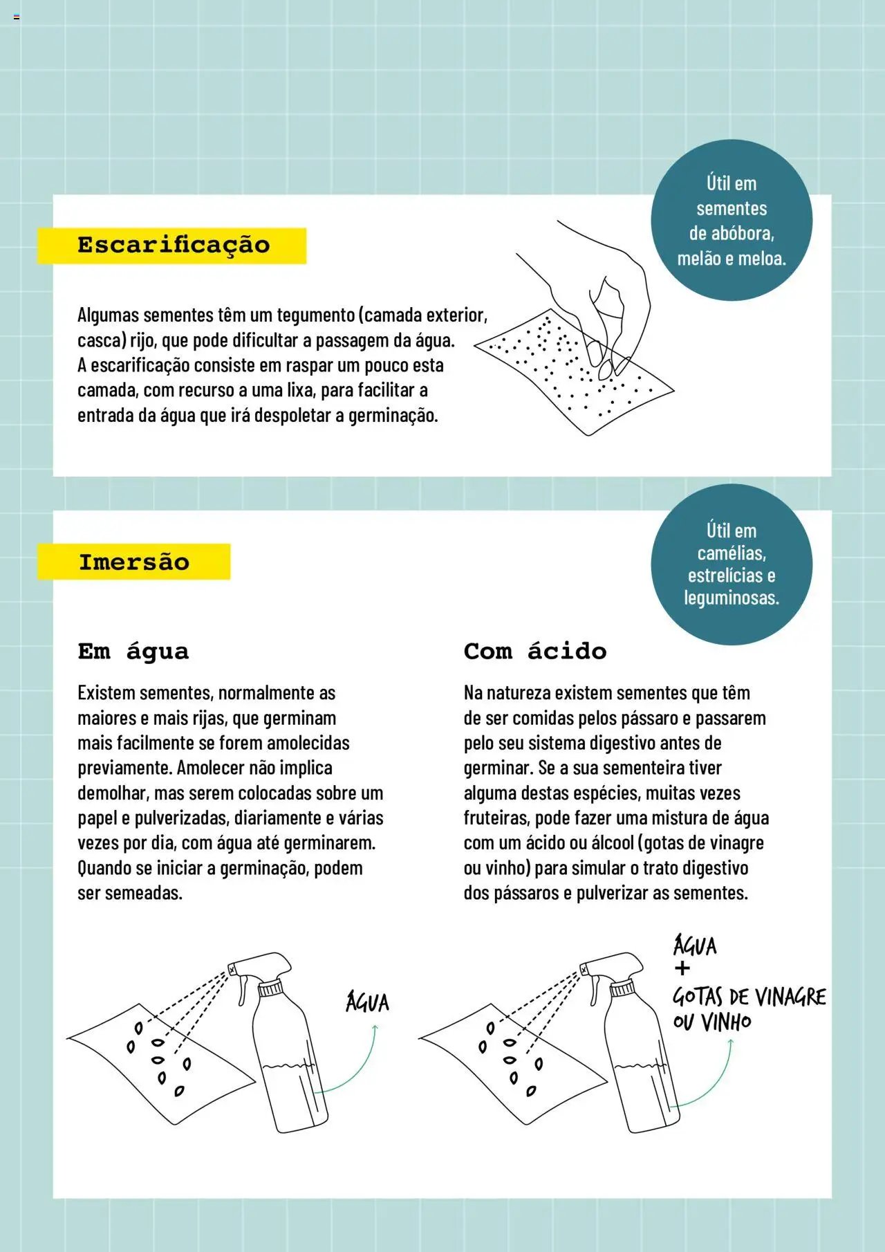 BricoMarché folheto a partir de 17/01/2024 Sementeiras (2024-01-17) | 3