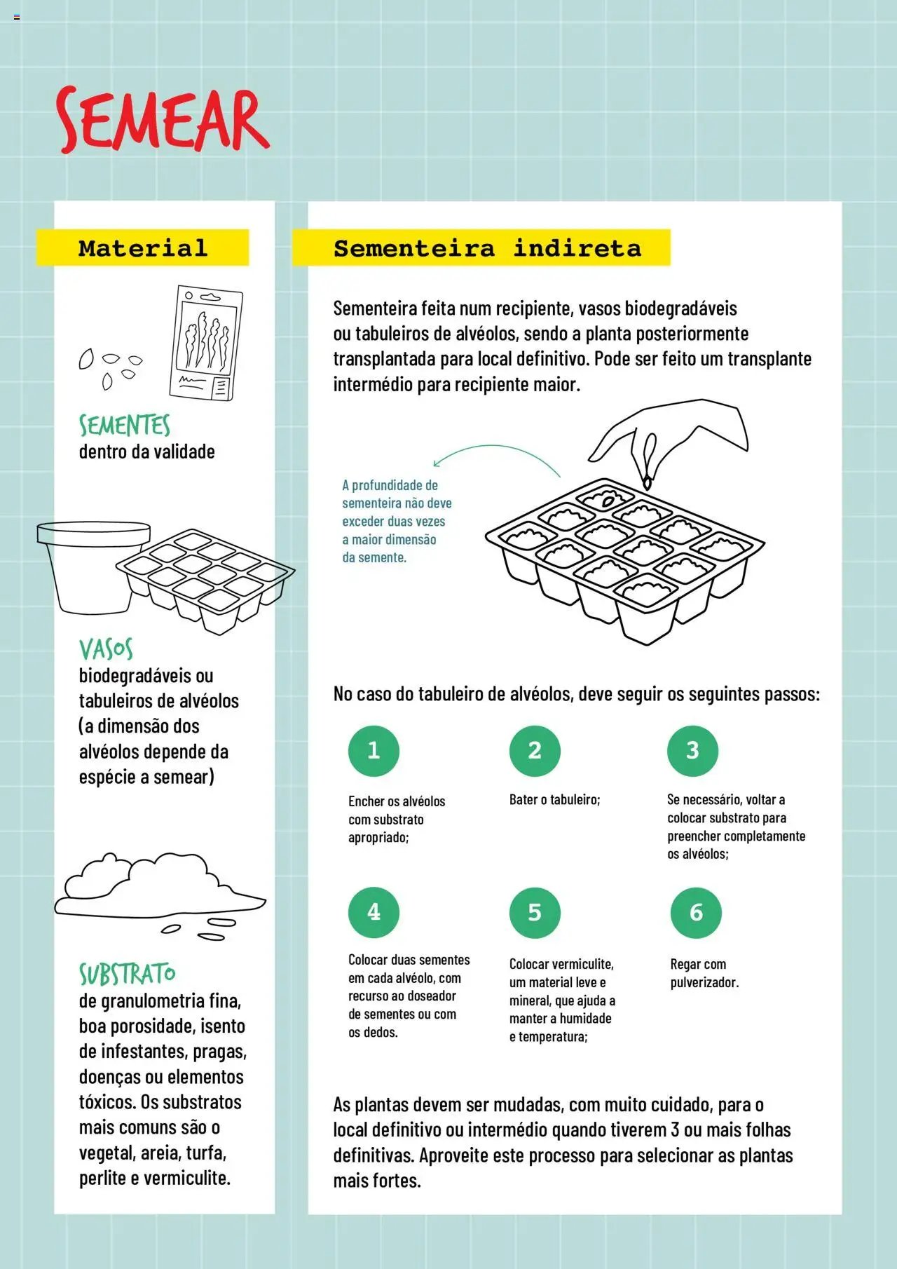 BricoMarché folheto a partir de 17/01/2024 Sementeiras (2024-01-17) | 4