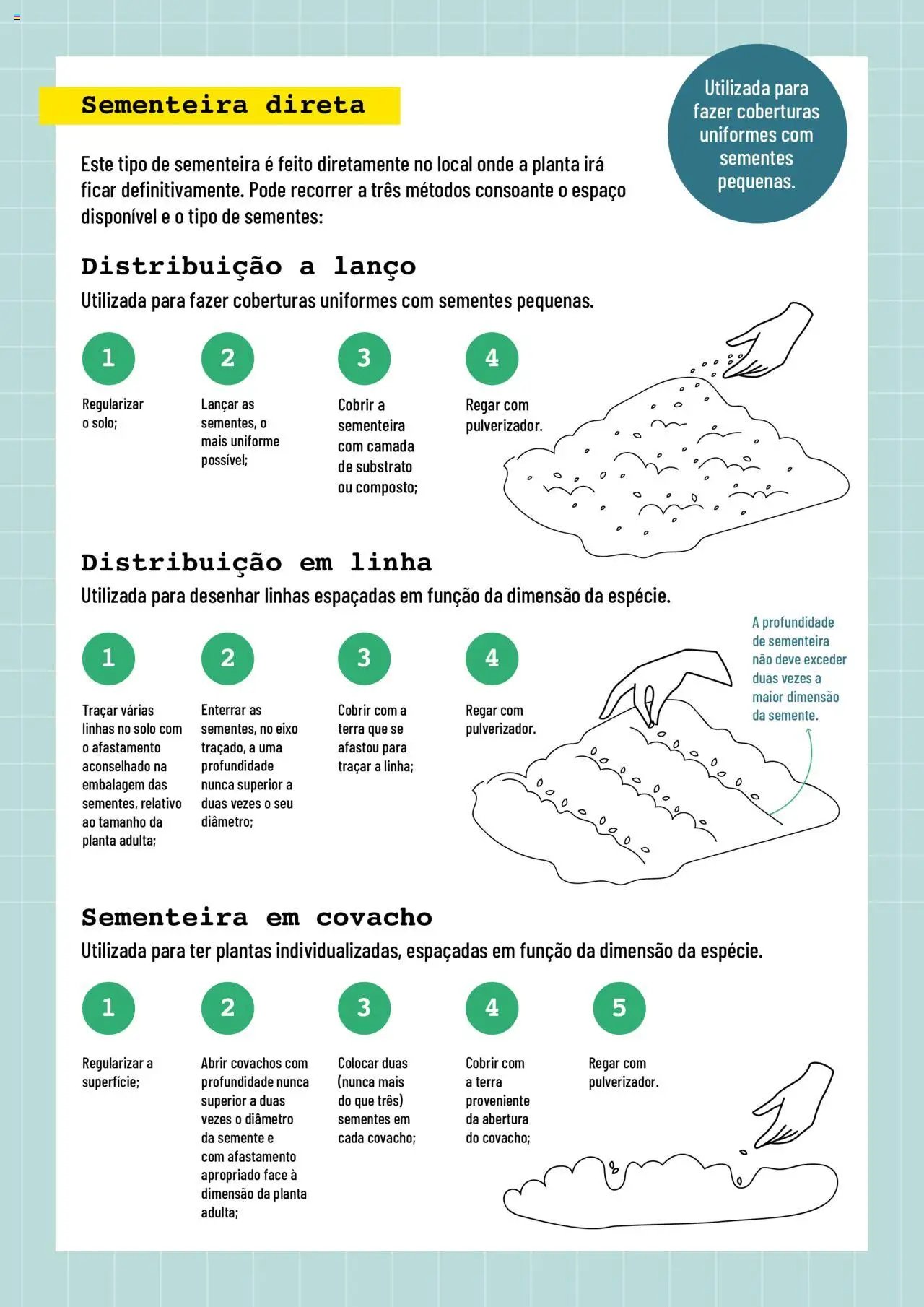 BricoMarché folheto a partir de 17/01/2024 Sementeiras (2024-01-17) | 5