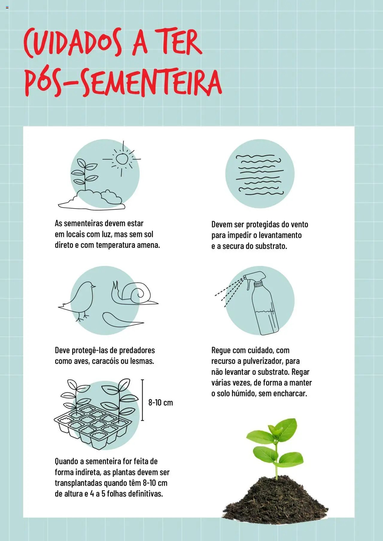 BricoMarché folheto a partir de 17/01/2024 Sementeiras (2024-01-17) | 6
